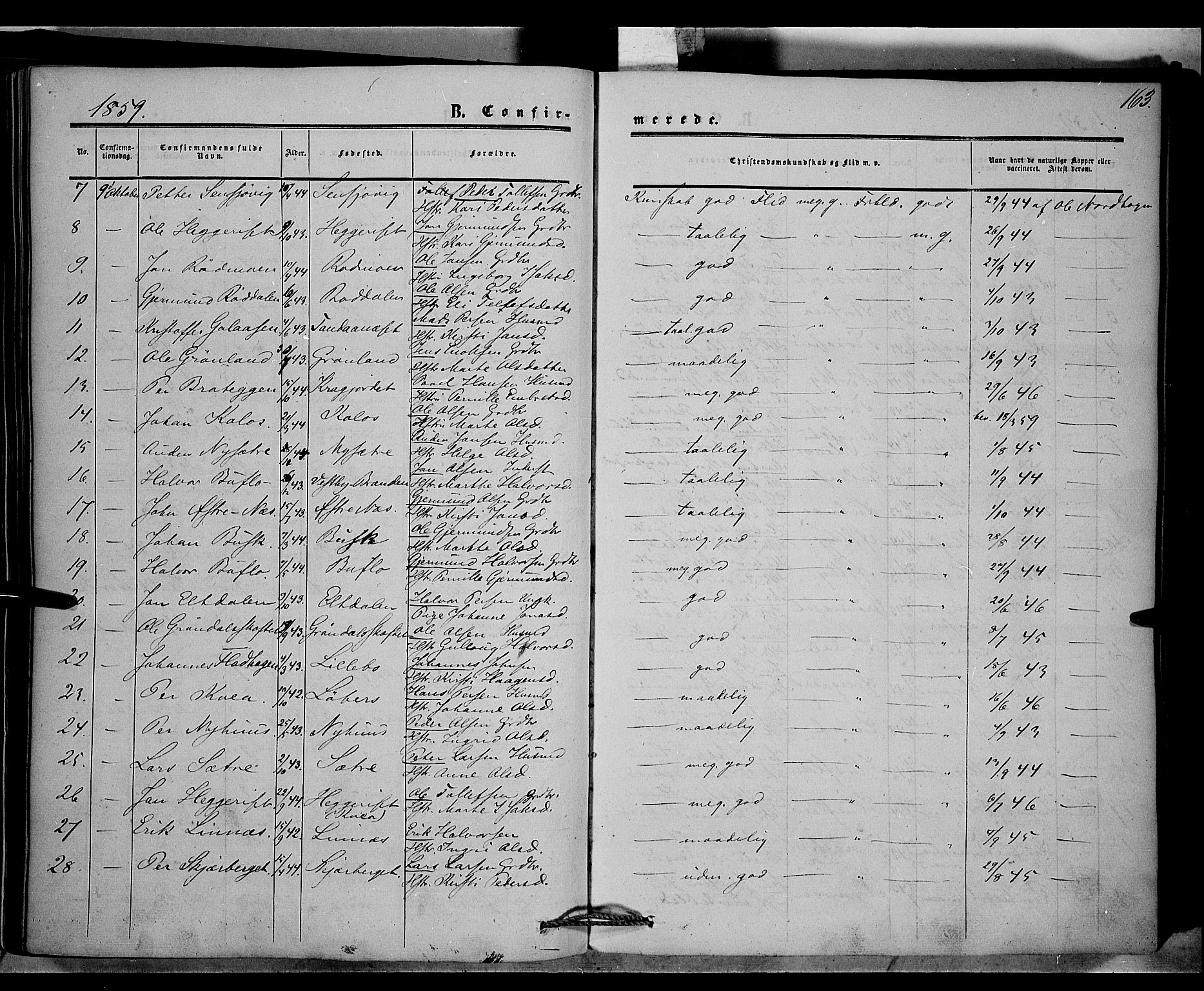 Trysil prestekontor, AV/SAH-PREST-046/H/Ha/Haa/L0005: Parish register (official) no. 5, 1851-1865, p. 163