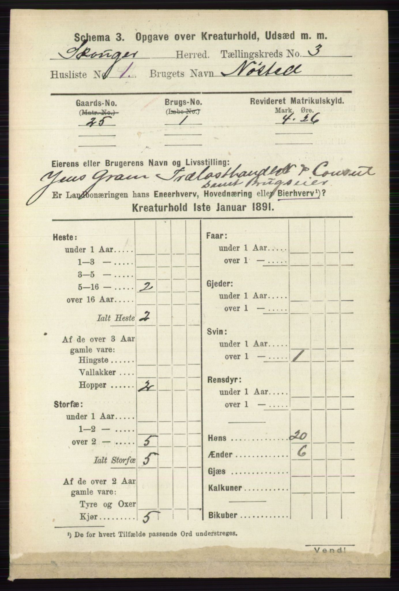 RA, 1891 census for 0712 Skoger, 1891, p. 4625