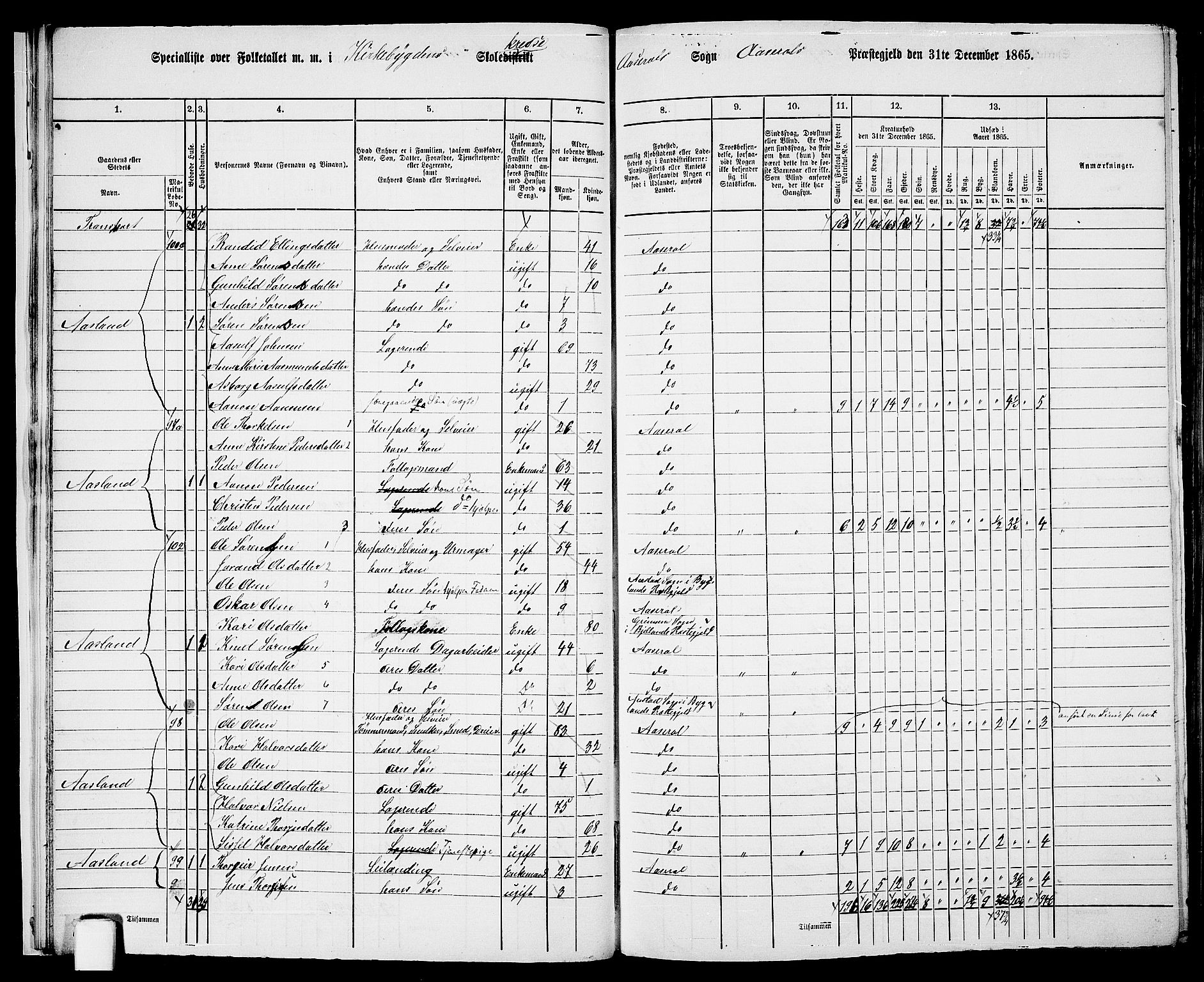 RA, 1865 census for Åseral, 1865, p. 16