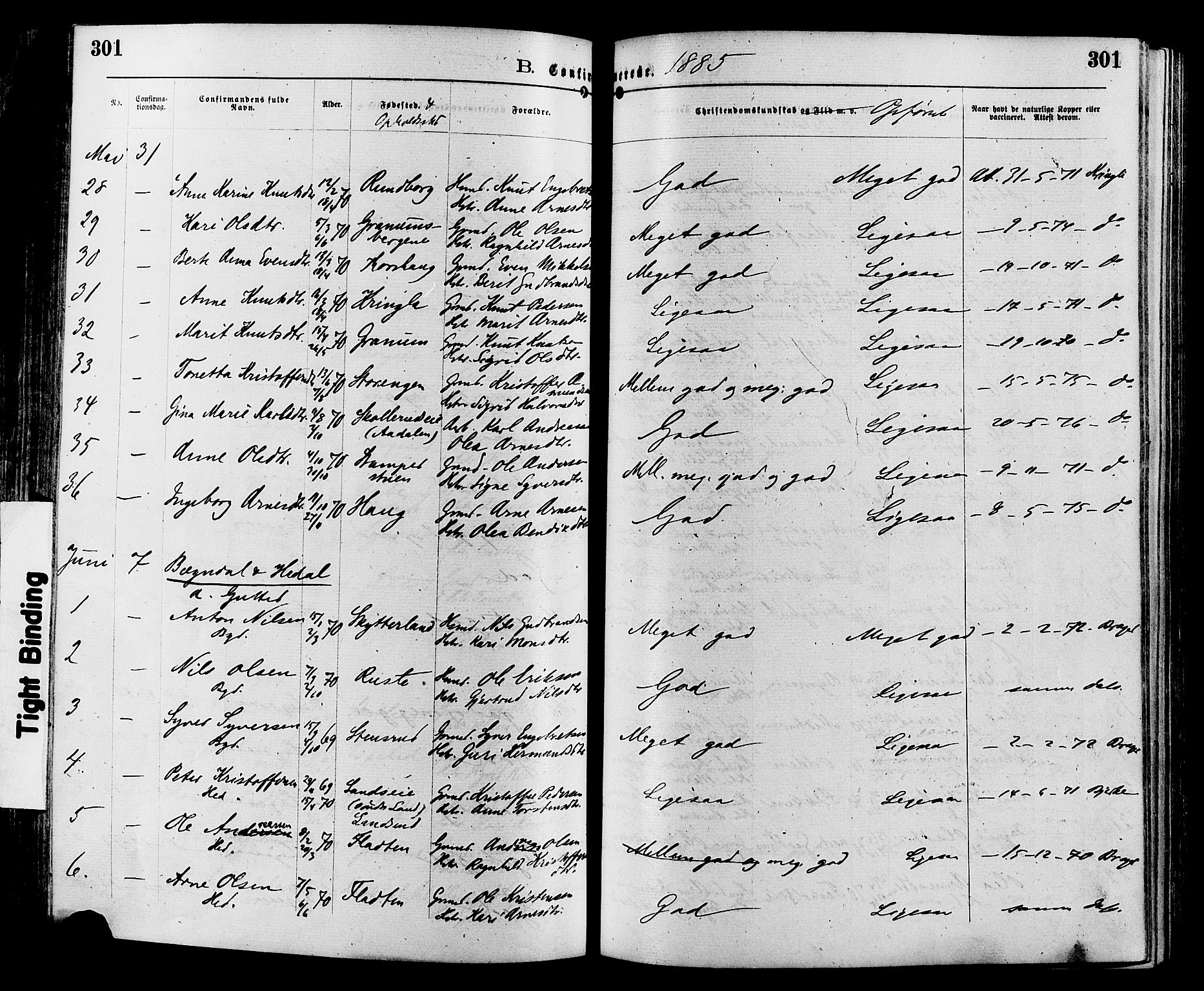 Sør-Aurdal prestekontor, SAH/PREST-128/H/Ha/Haa/L0008: Parish register (official) no. 8, 1877-1885, p. 301