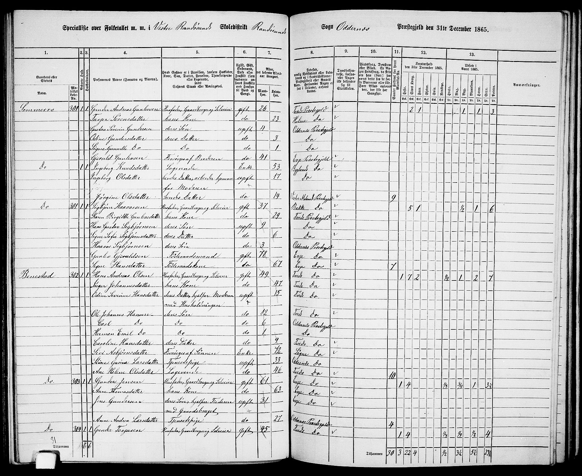 RA, 1865 census for Oddernes, 1865, p. 123