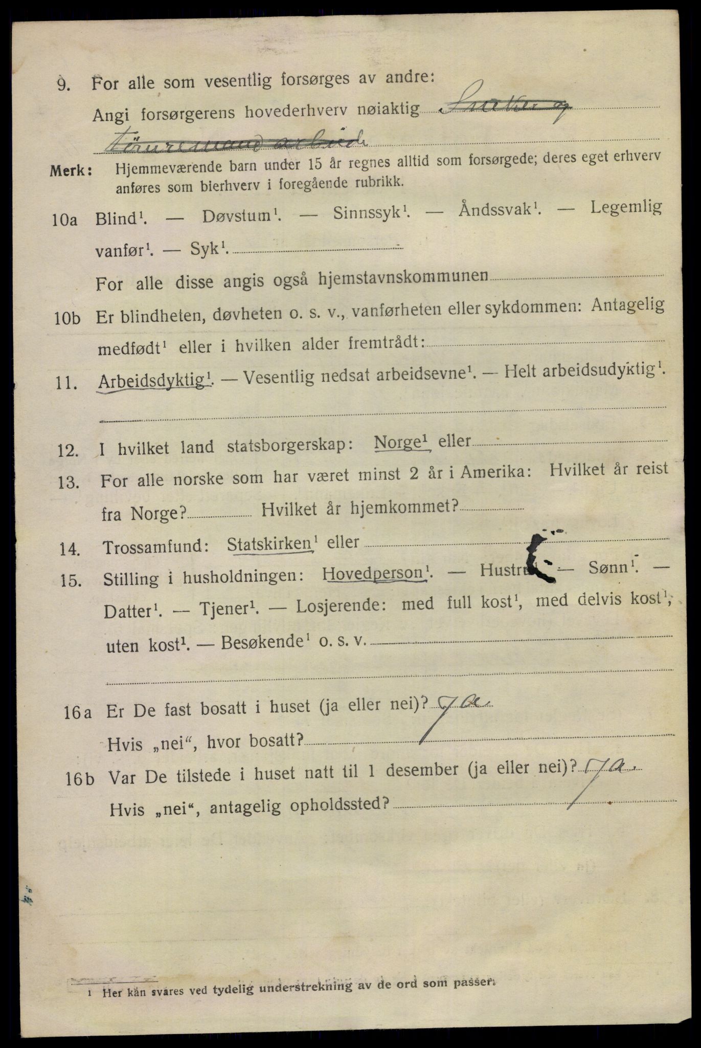 SAKO, 1920 census for Skien, 1920, p. 32173