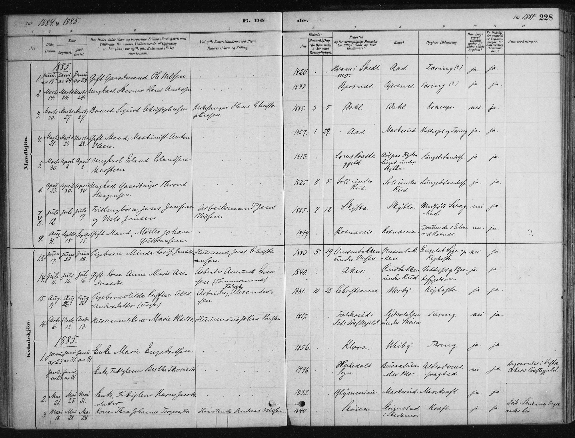 Nittedal prestekontor Kirkebøker, AV/SAO-A-10365a/F/Fa/L0007: Parish register (official) no. I 7, 1879-1901, p. 228
