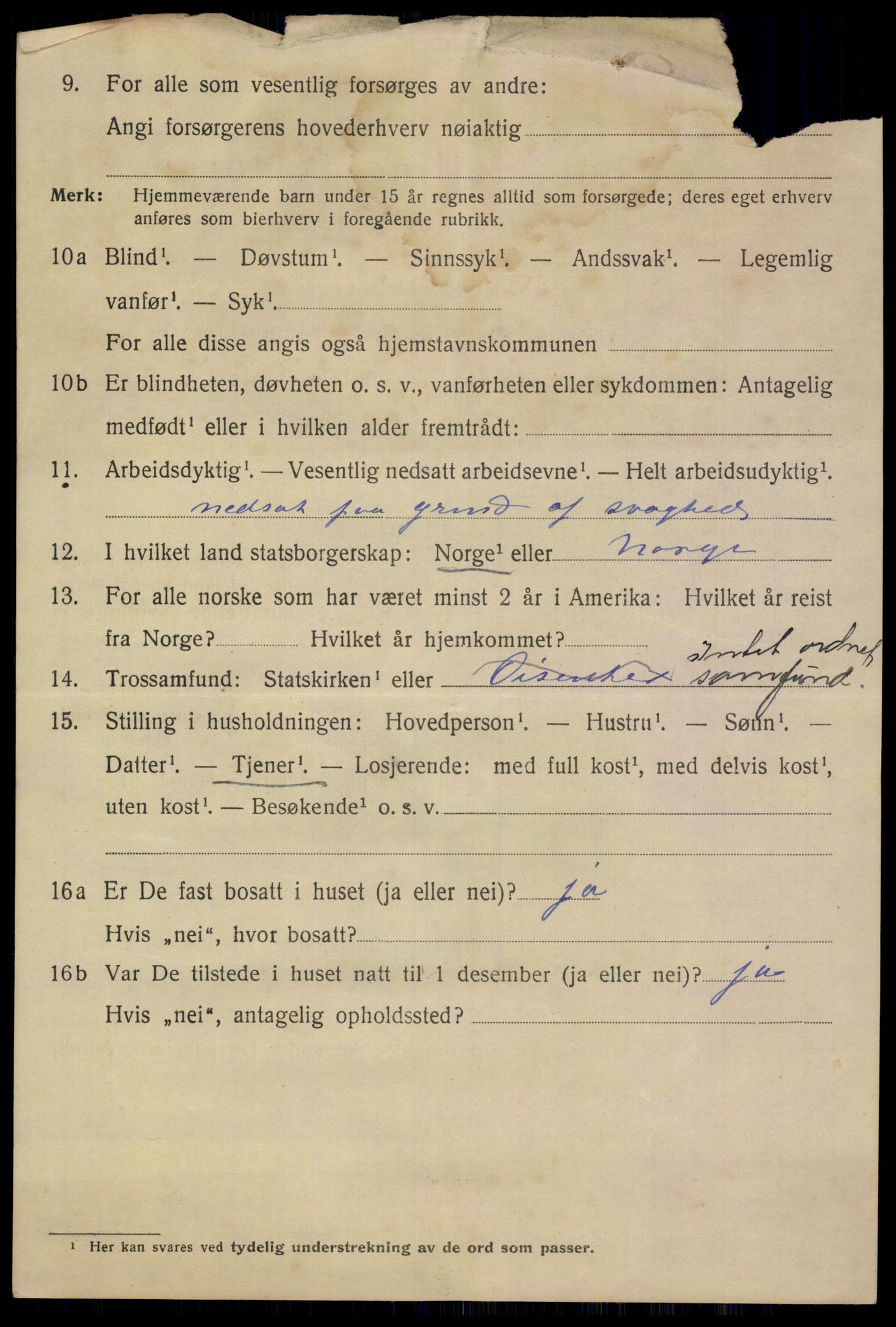 SAKO, 1920 census for Skien, 1920, p. 21229