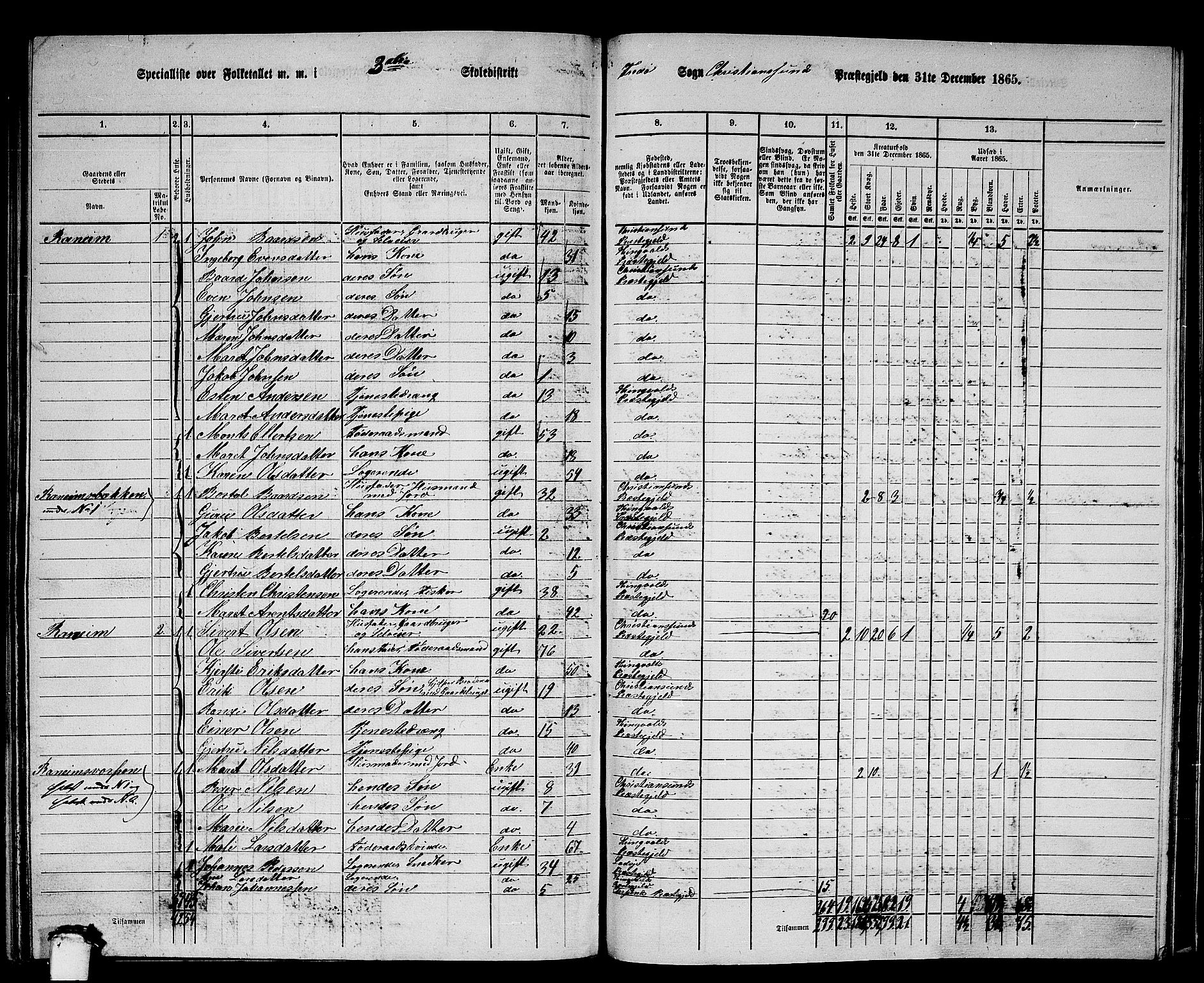 RA, 1865 census for Kristiansund/Frei og Grip, 1865, p. 46