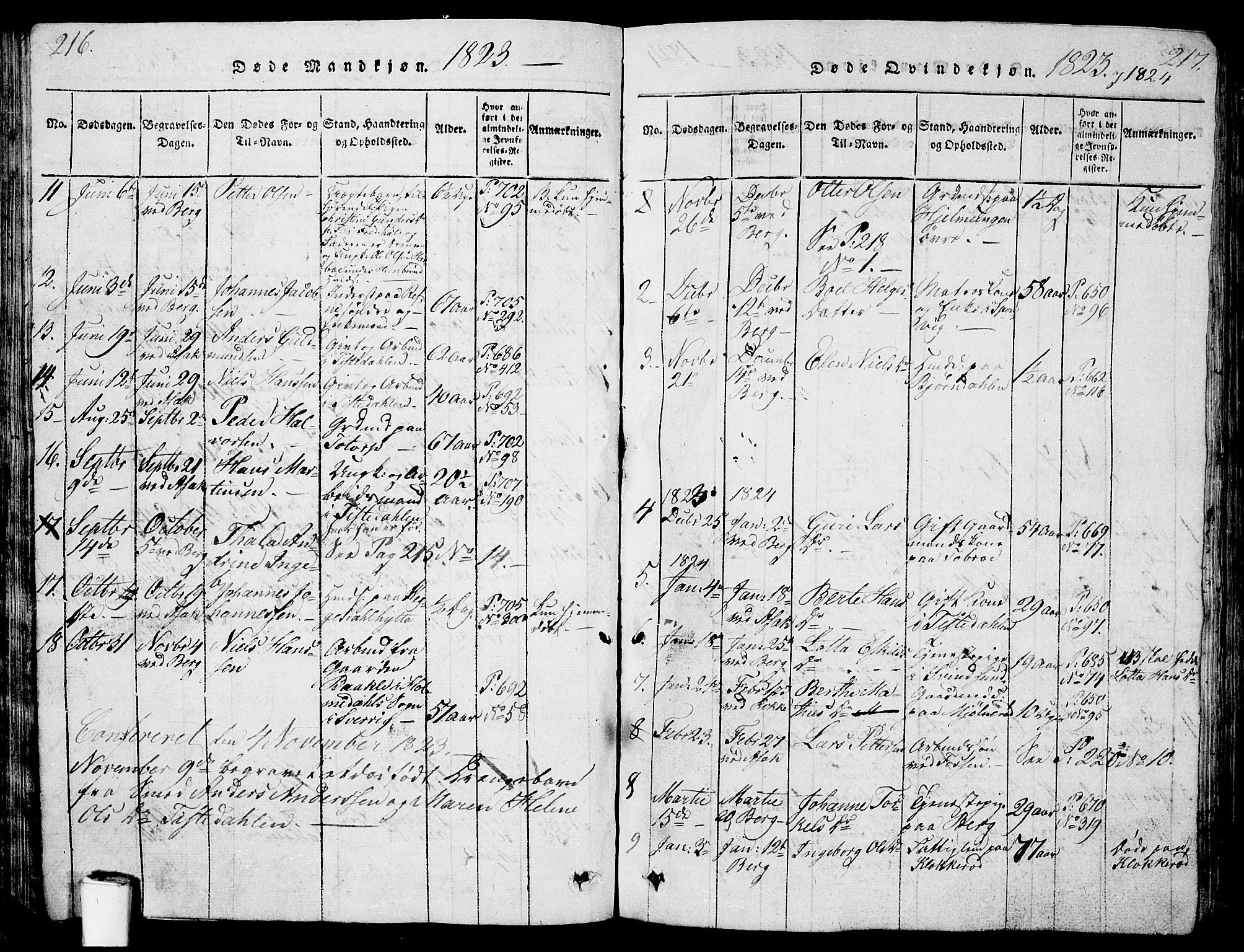 Berg prestekontor Kirkebøker, AV/SAO-A-10902/G/Ga/L0001: Parish register (copy) no. I 1, 1815-1832, p. 216-217