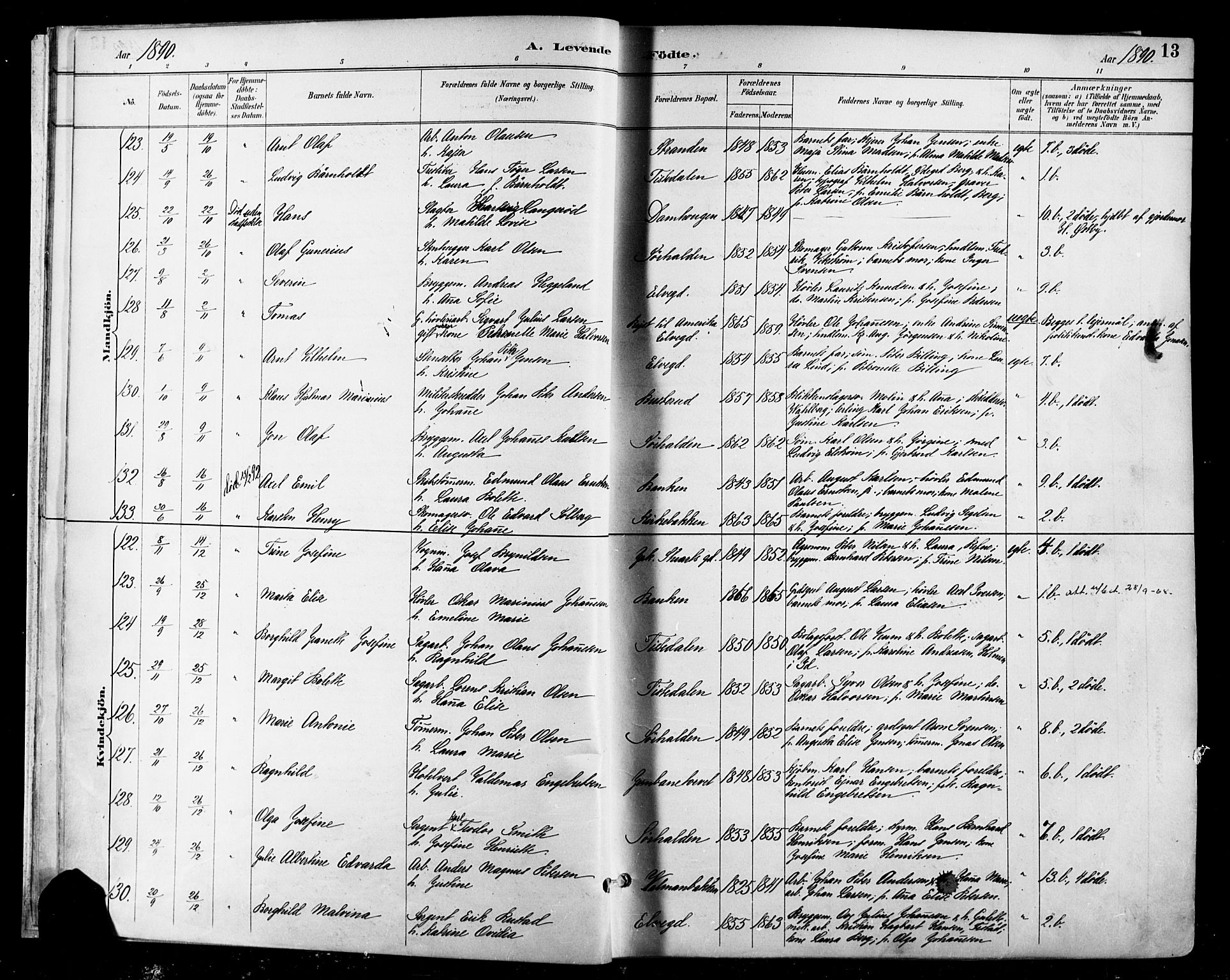 Halden prestekontor Kirkebøker, SAO/A-10909/F/Fa/L0013: Parish register (official) no. I 13, 1890-1906, p. 13
