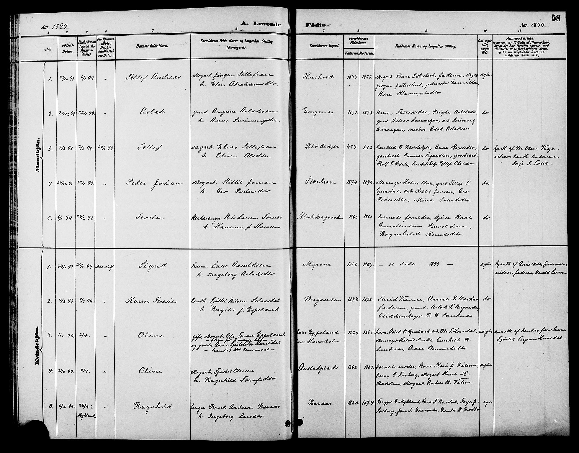 Åmli sokneprestkontor, AV/SAK-1111-0050/F/Fb/Fbc/L0004: Parish register (copy) no. B 4, 1889-1902, p. 58