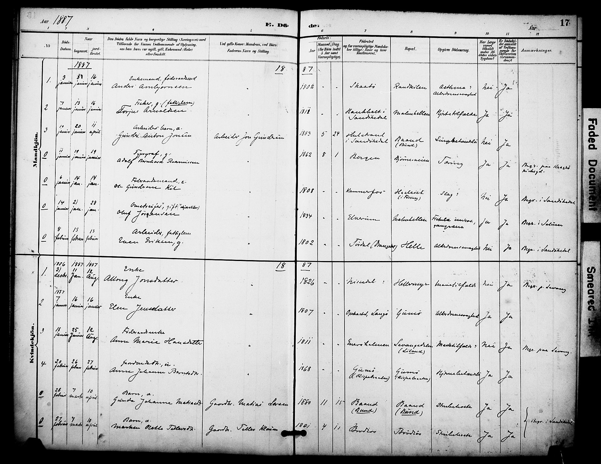 Skåtøy kirkebøker, AV/SAKO-A-304/F/Fa/L0004: Parish register (official) no. I 4, 1884-1900, p. 17