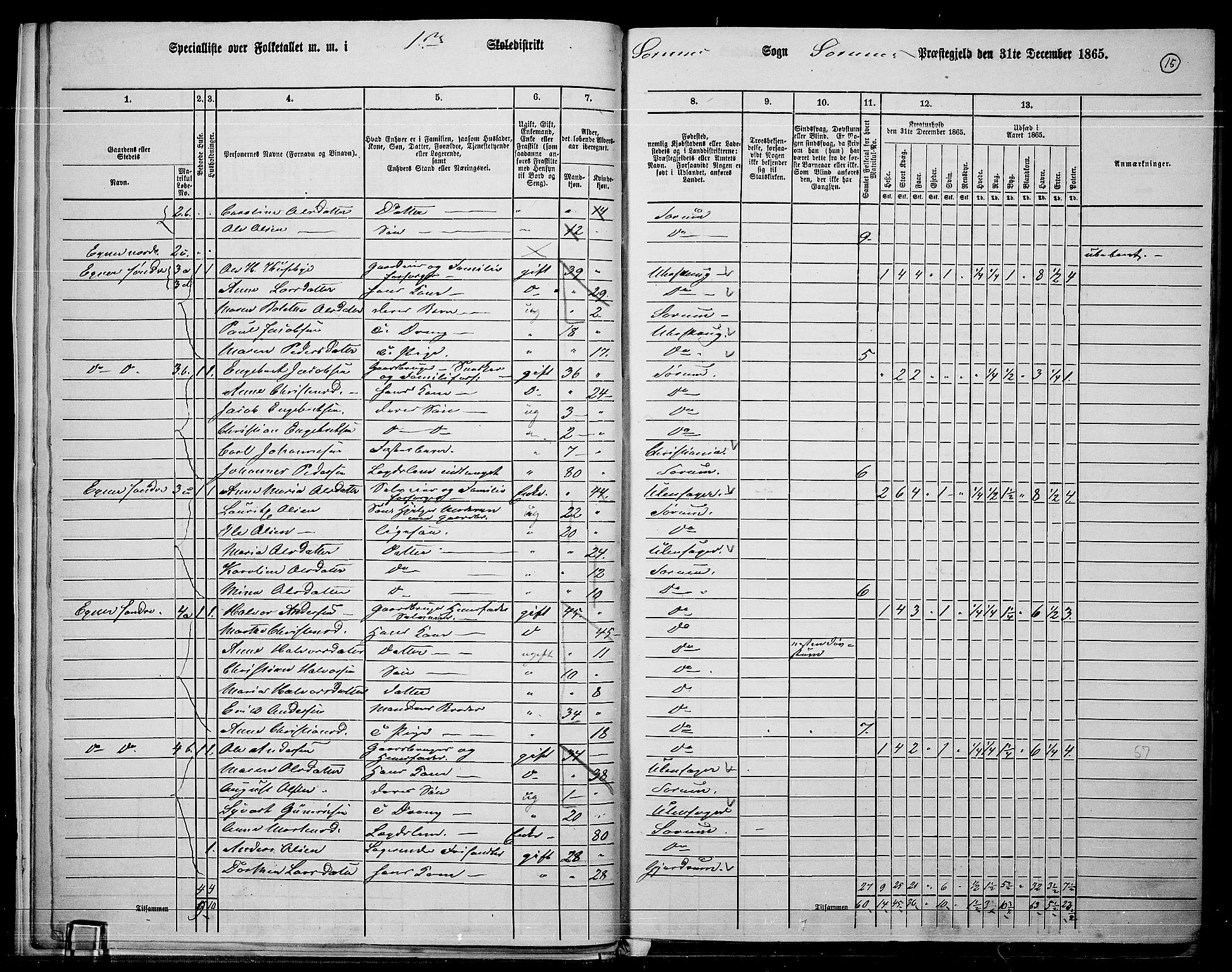 RA, 1865 census for Sørum, 1865, p. 13