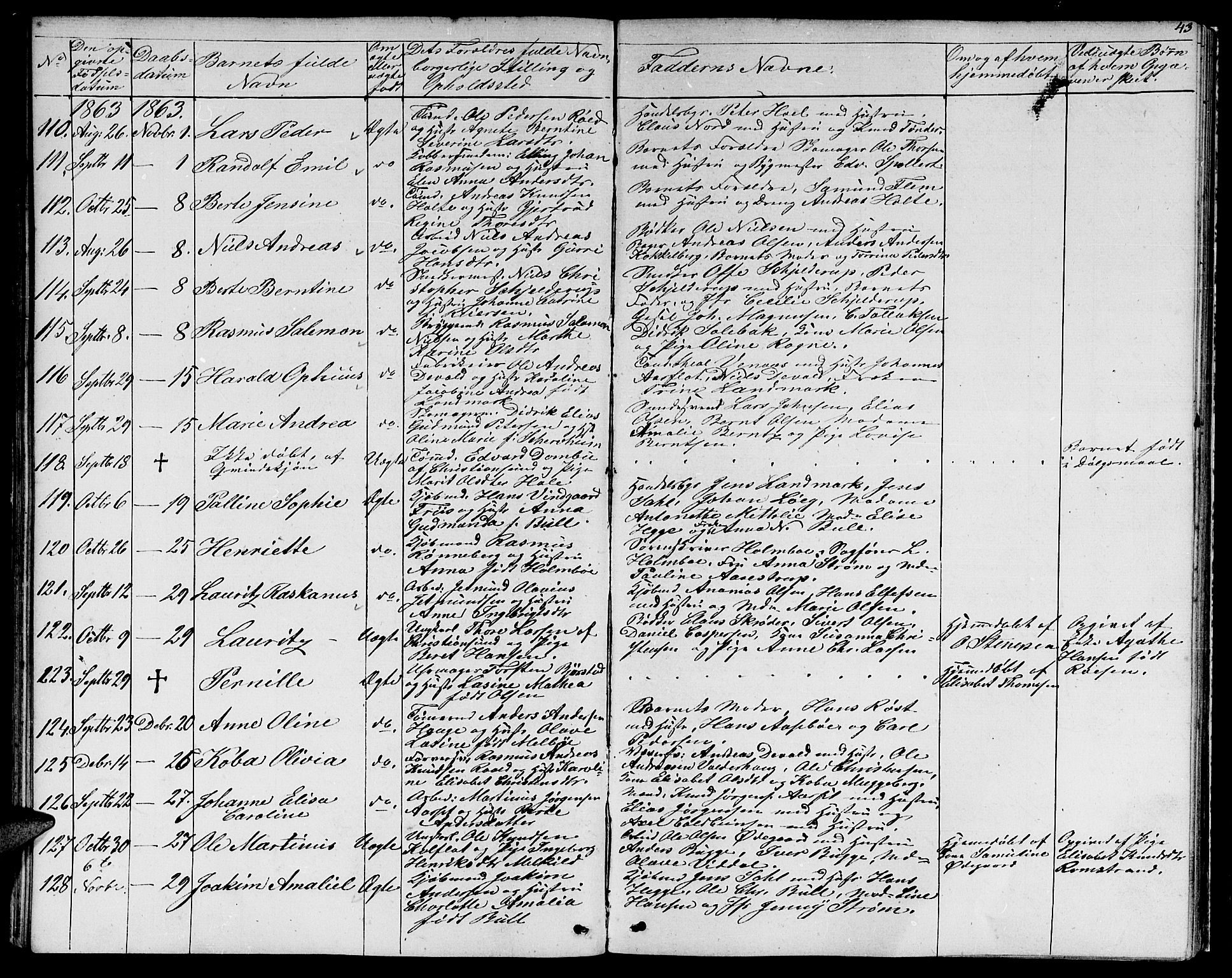 Ministerialprotokoller, klokkerbøker og fødselsregistre - Møre og Romsdal, SAT/A-1454/529/L0464: Parish register (copy) no. 529C01, 1855-1867, p. 43