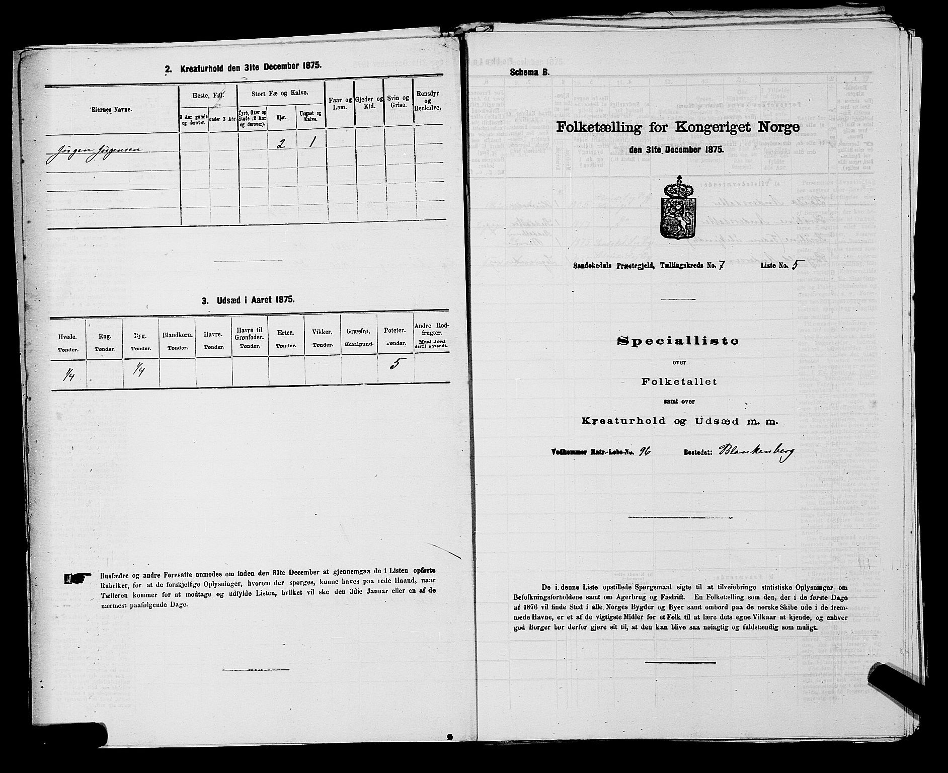 SAKO, 1875 census for 0816P Sannidal, 1875, p. 553