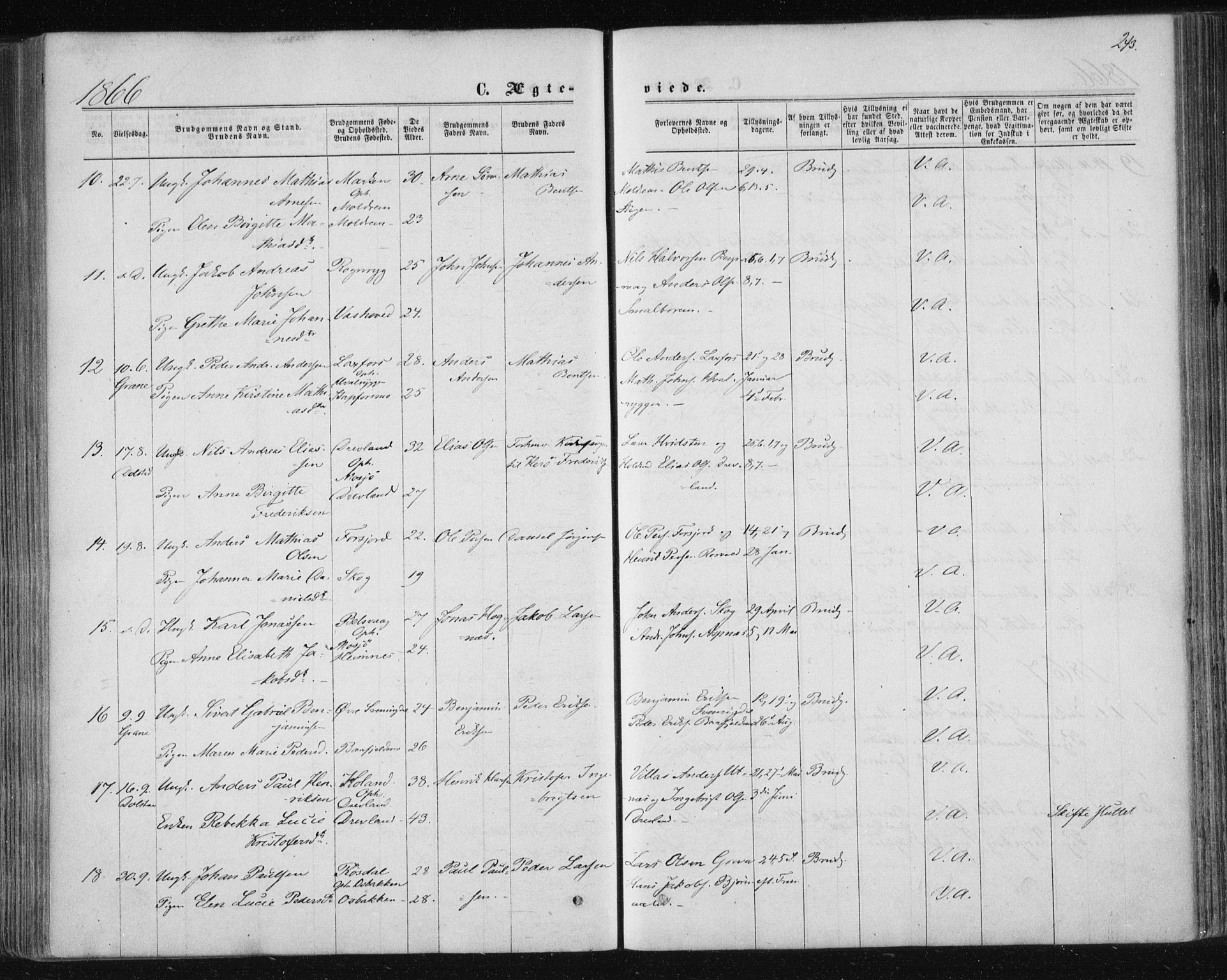 Ministerialprotokoller, klokkerbøker og fødselsregistre - Nordland, SAT/A-1459/820/L0294: Parish register (official) no. 820A15, 1866-1879, p. 243