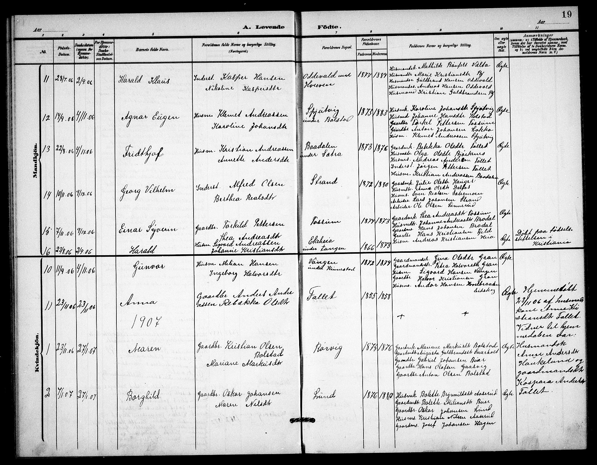 Høland prestekontor Kirkebøker, AV/SAO-A-10346a/G/Gc/L0001: Parish register (copy) no. III 1, 1902-1911, p. 19