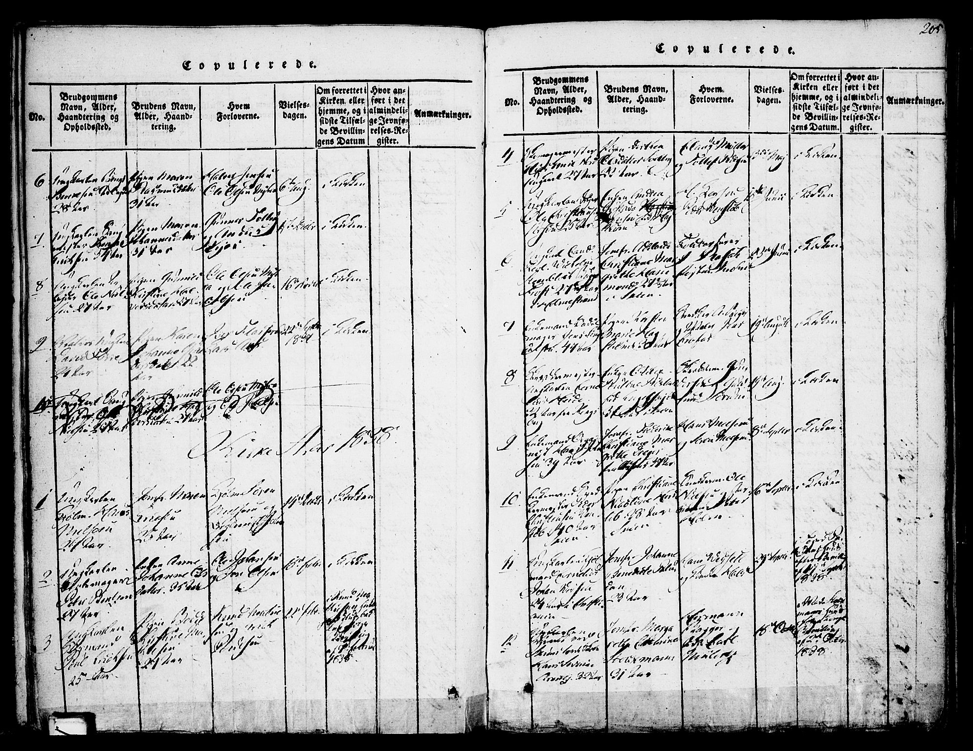 Skien kirkebøker, SAKO/A-302/F/Fa/L0005: Parish register (official) no. 5, 1814-1843, p. 205