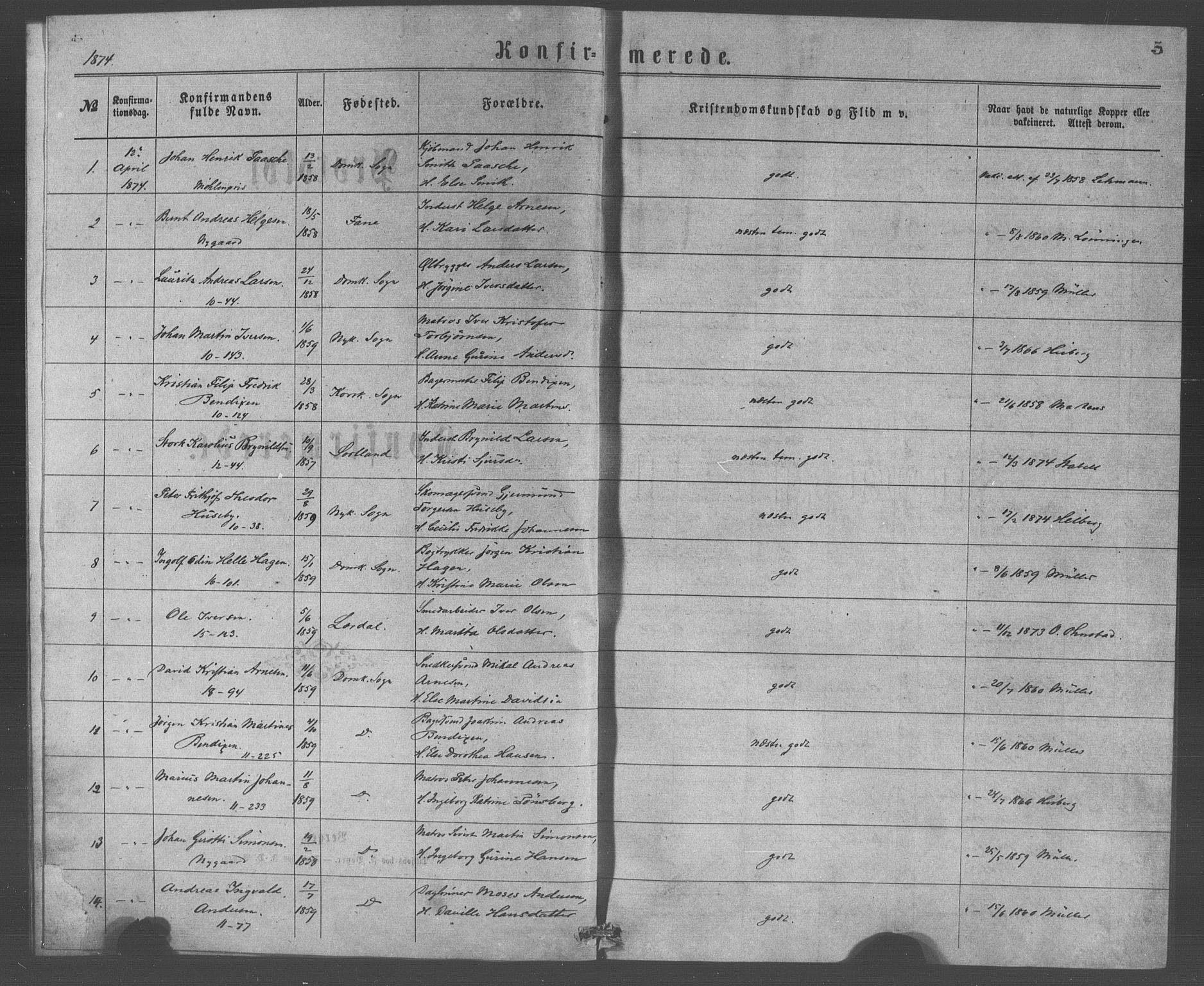 Domkirken sokneprestembete, AV/SAB-A-74801/H/Haa/L0065: Curate's parish register no. A 3, 1874-1880, p. 5