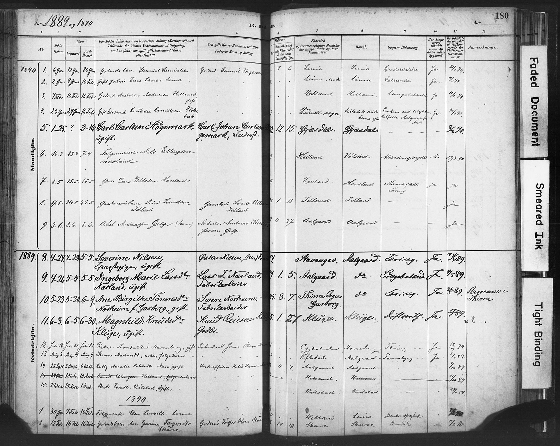 Lye sokneprestkontor, AV/SAST-A-101794/001/30BA/L0010: Parish register (official) no. A 10, 1881-1896, p. 180