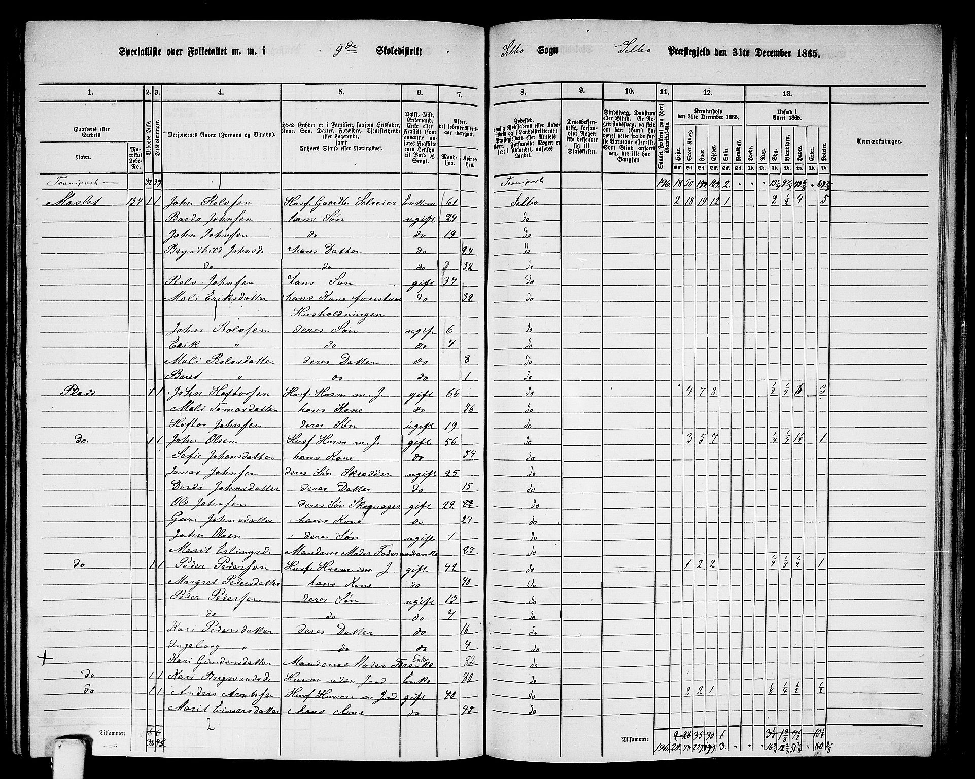 RA, 1865 census for Selbu, 1865, p. 163