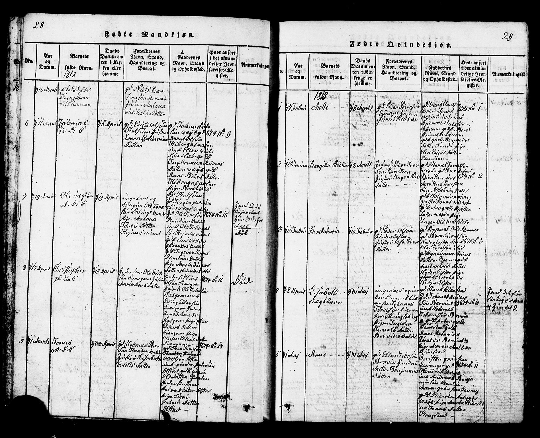 Ministerialprotokoller, klokkerbøker og fødselsregistre - Nord-Trøndelag, AV/SAT-A-1458/717/L0169: Parish register (copy) no. 717C01, 1816-1834, p. 28-29