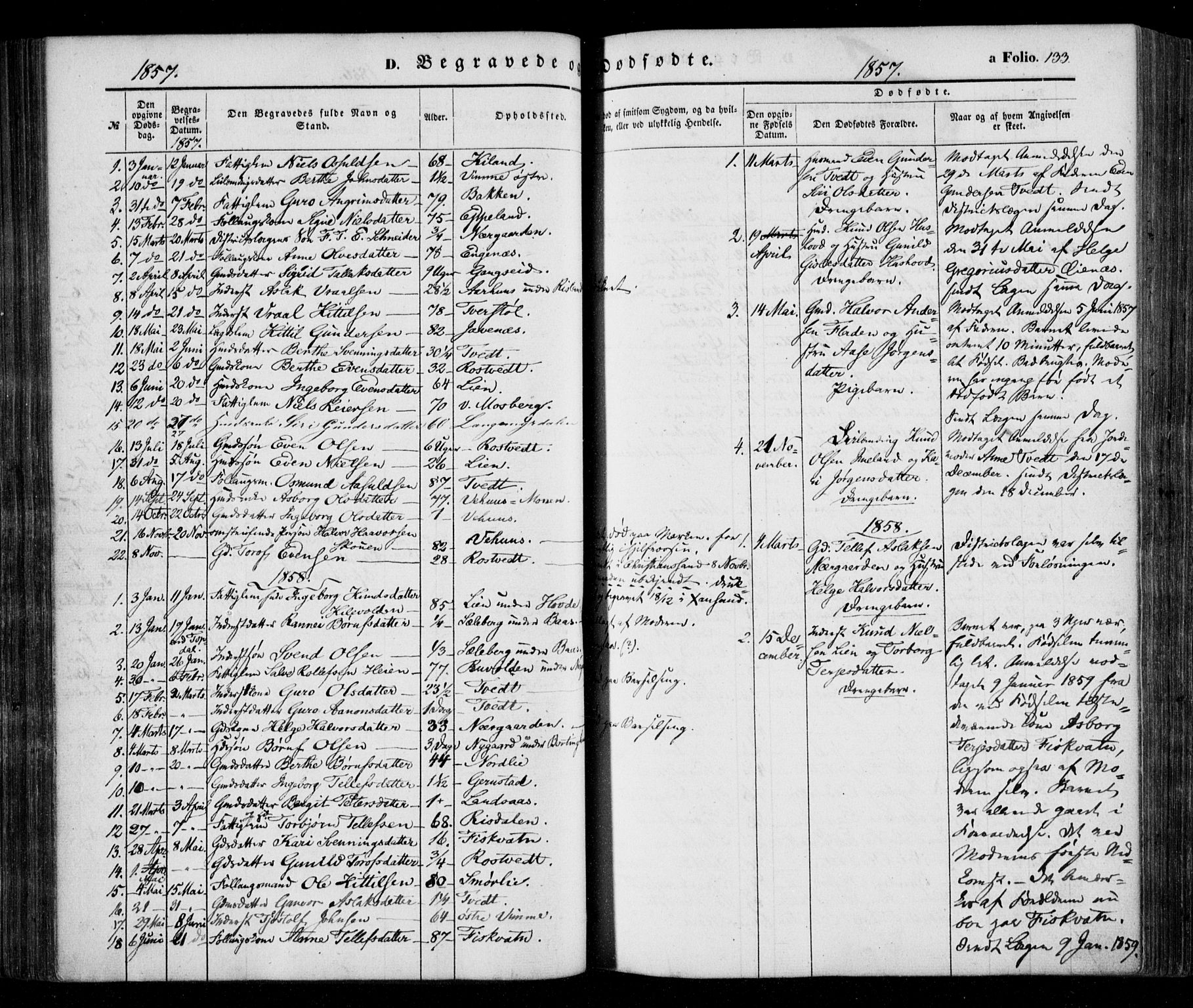 Åmli sokneprestkontor, AV/SAK-1111-0050/F/Fa/Fac/L0008: Parish register (official) no. A 8, 1852-1869, p. 133