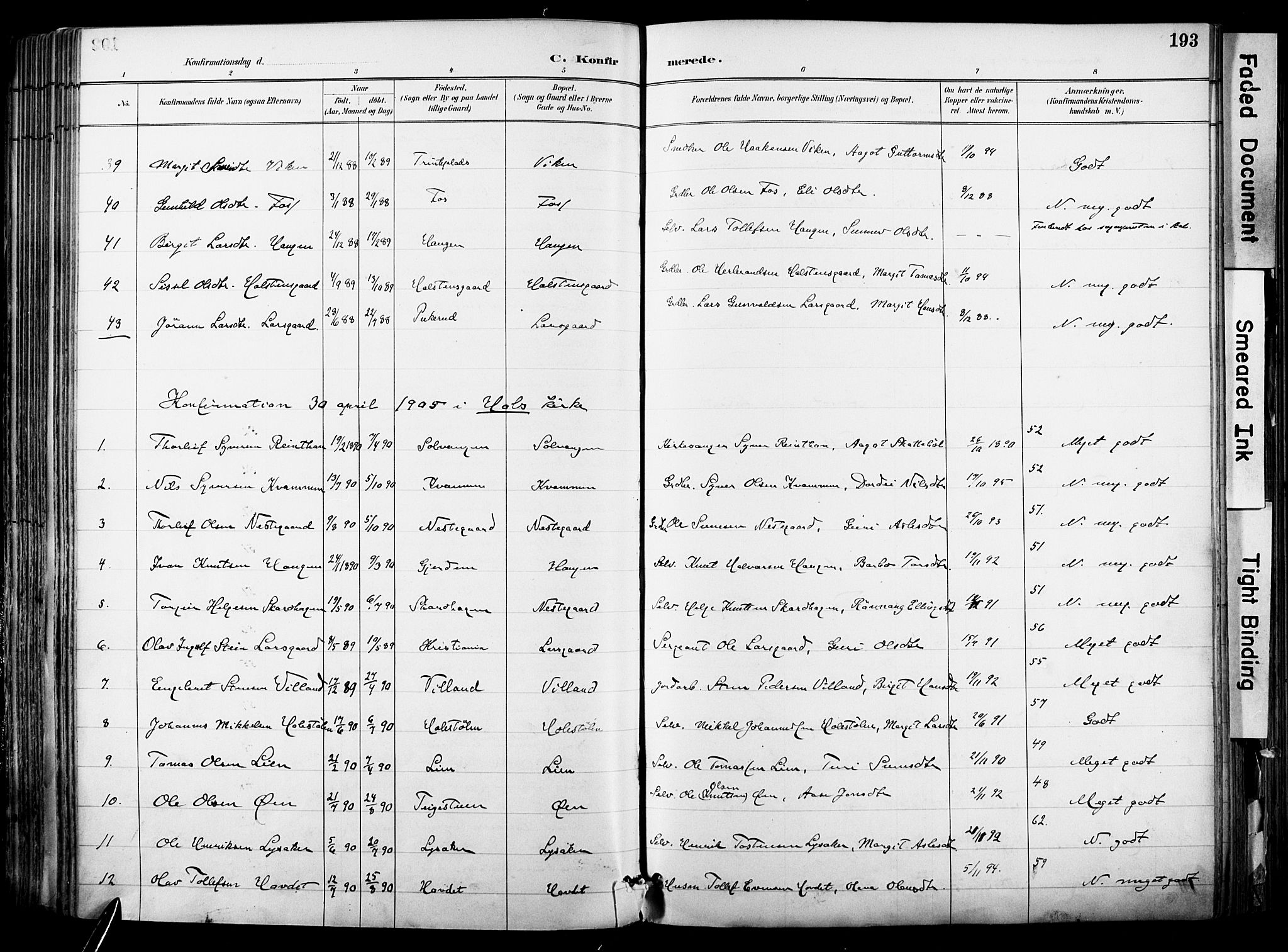 Hol kirkebøker, AV/SAKO-A-227/F/Fa/L0003: Parish register (official) no. I 3, 1887-1918, p. 193