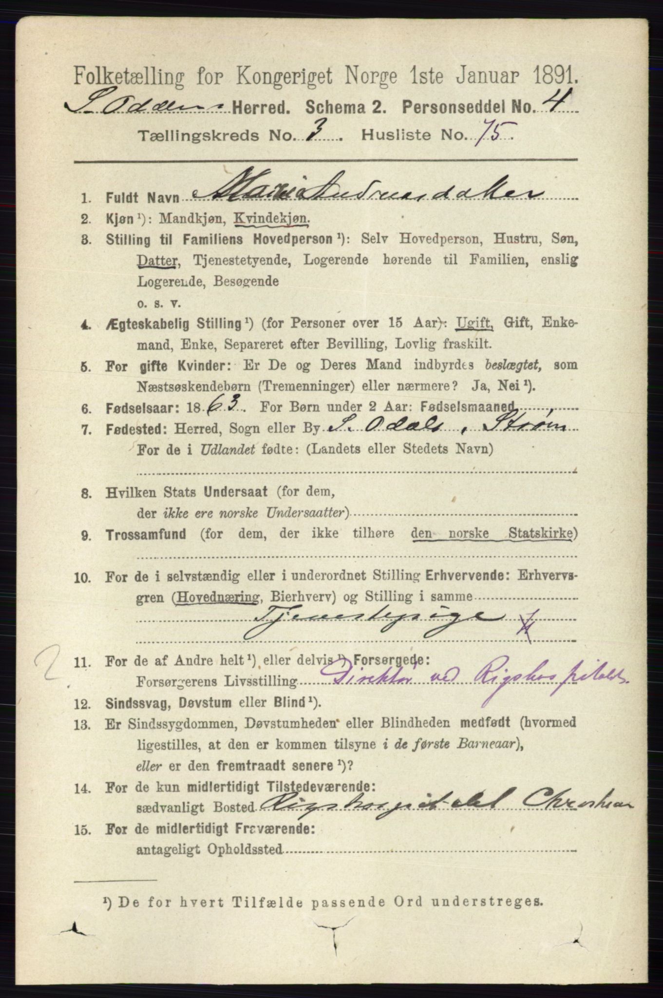 RA, 1891 census for 0419 Sør-Odal, 1891, p. 1644