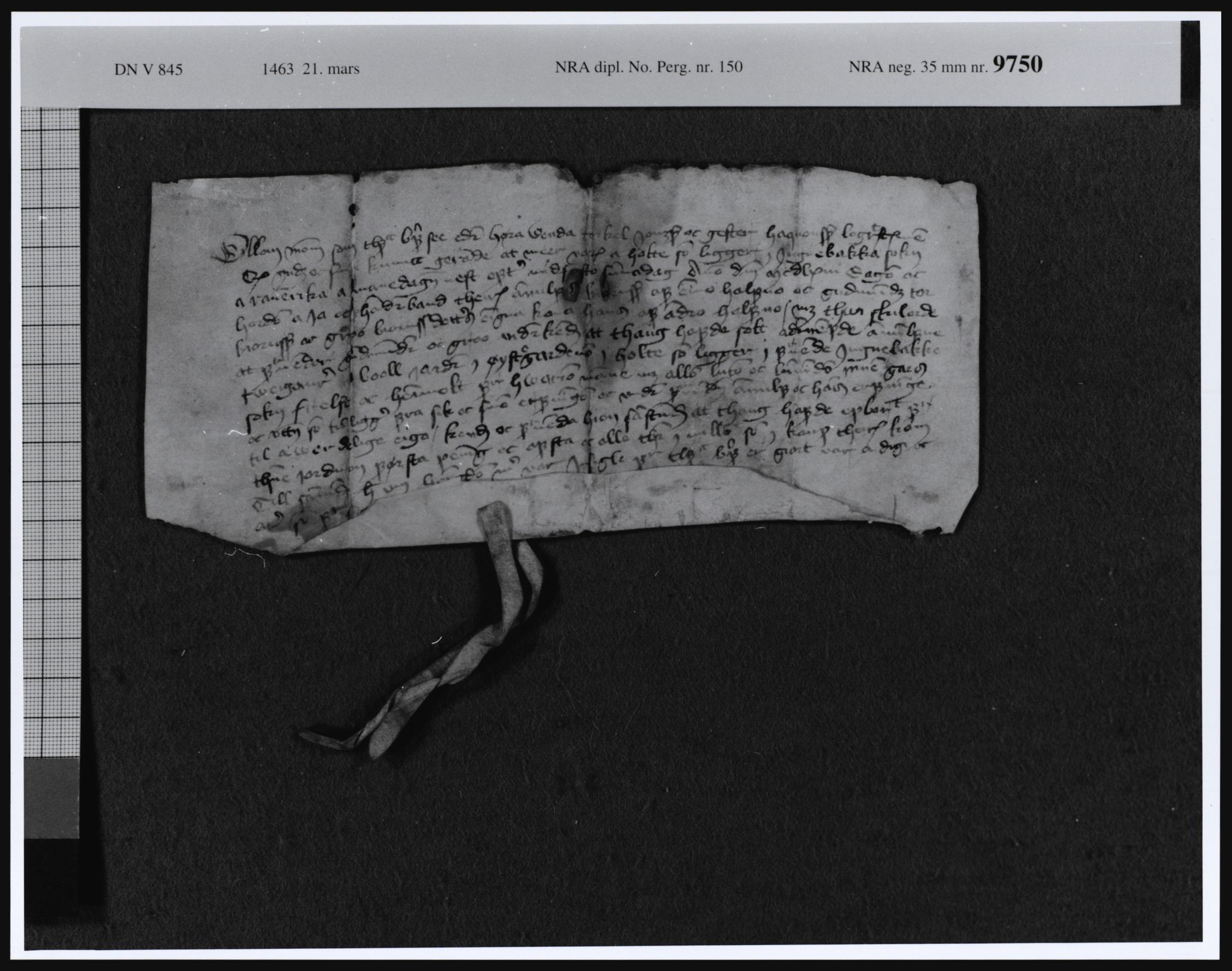 Riksarkivets diplomsamling, AV/RA-EA-5965/F08, 1224-1564, p. 339