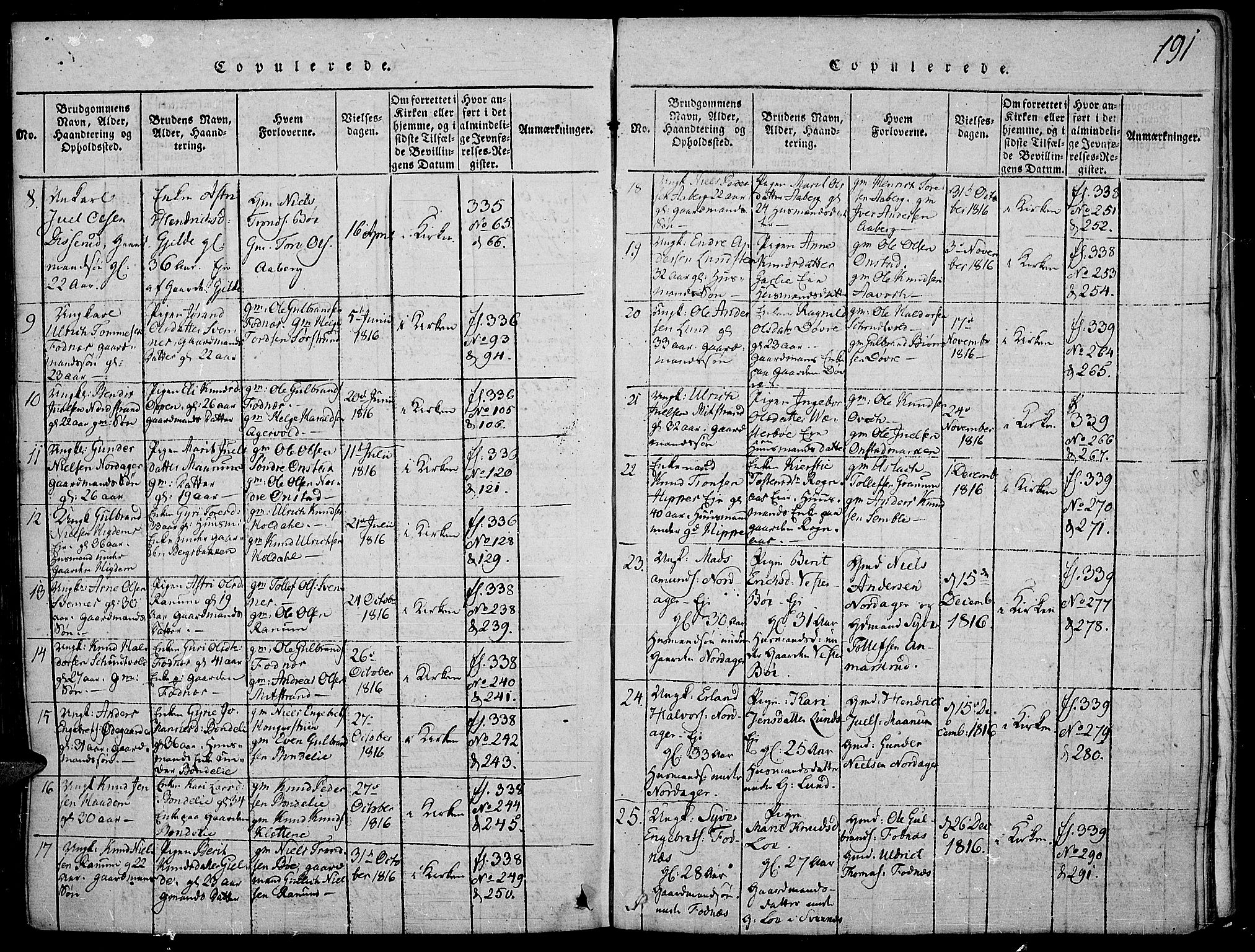 Nord-Aurdal prestekontor, SAH/PREST-132/H/Ha/Haa/L0002: Parish register (official) no. 2, 1816-1828, p. 191