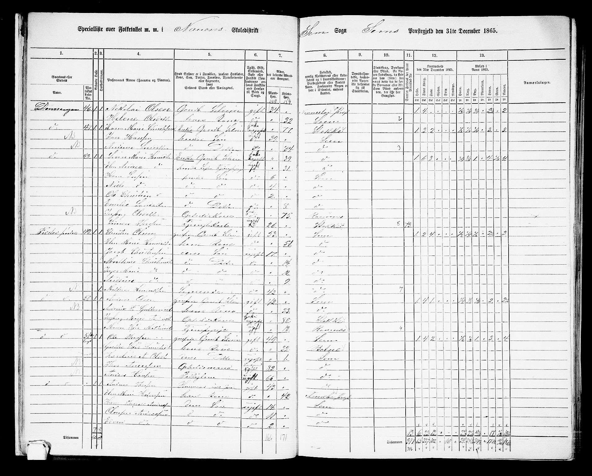 RA, 1865 census for Sem, 1865, p. 24