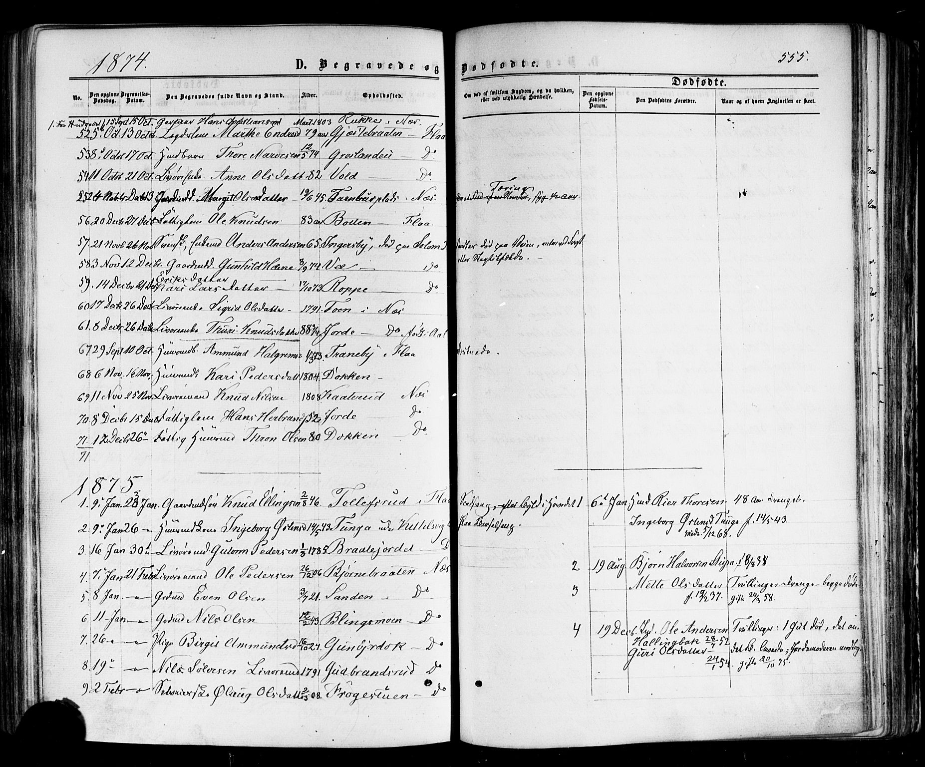 Nes kirkebøker, SAKO/A-236/F/Fa/L0010: Parish register (official) no. 10, 1864-1880, p. 555