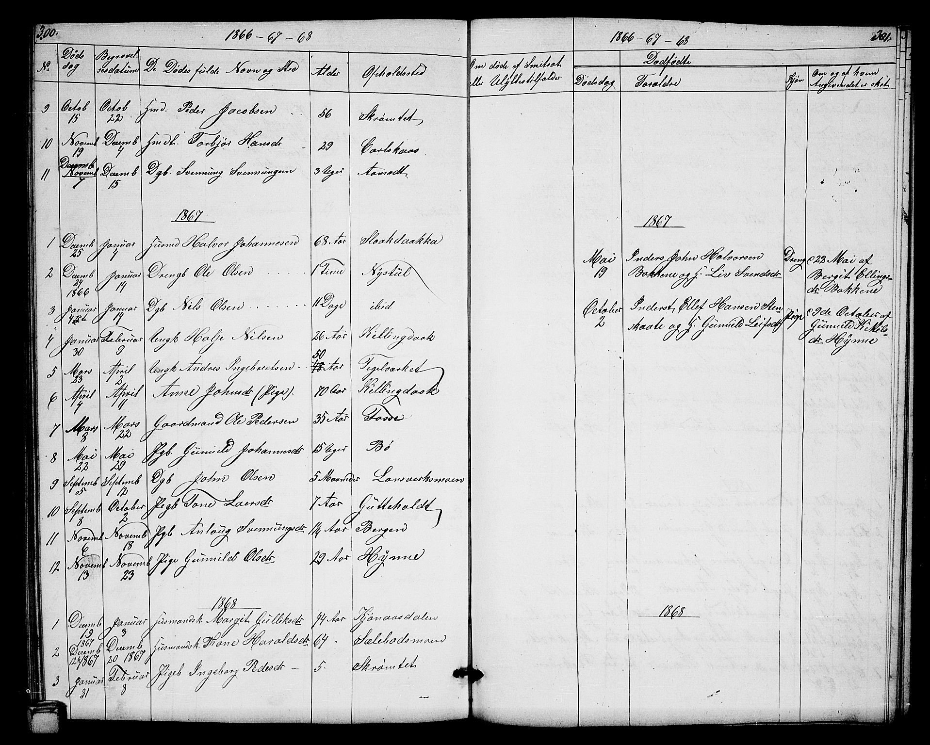 Hjartdal kirkebøker, SAKO/A-270/G/Gb/L0002: Parish register (copy) no. II 2, 1854-1884, p. 300-301