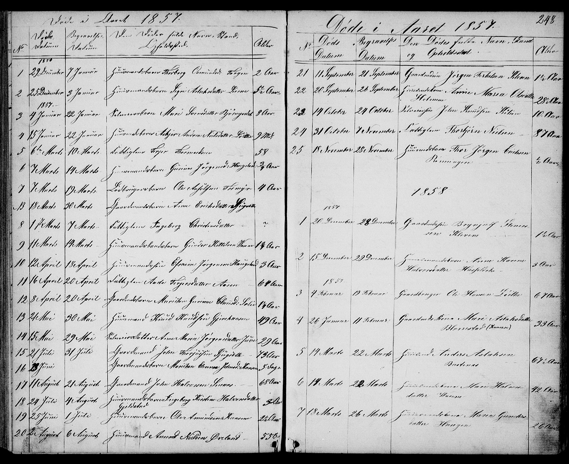 Drangedal kirkebøker, AV/SAKO-A-258/G/Gb/L0001: Parish register (copy) no. II 1, 1856-1894, p. 248