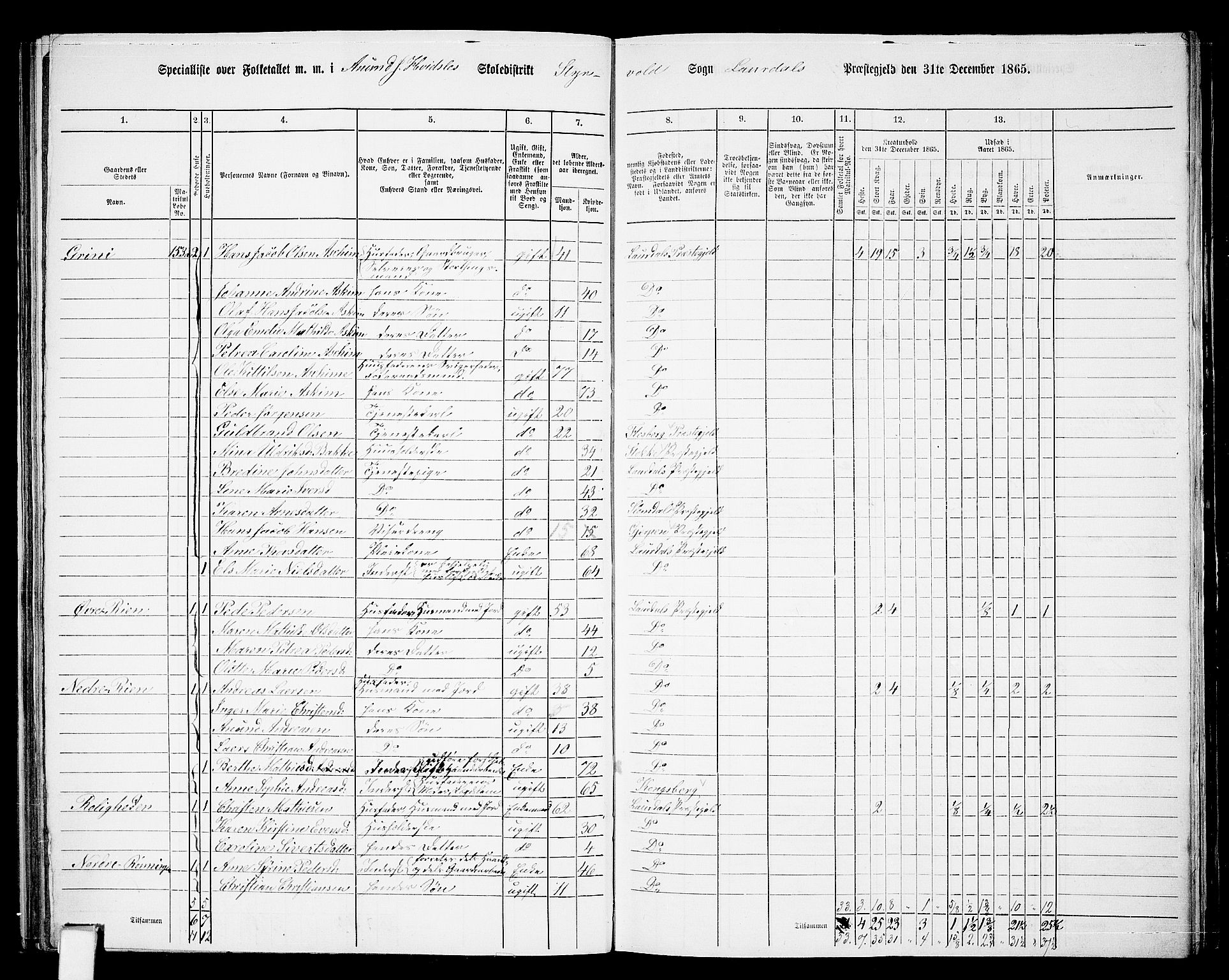 RA, 1865 census for Lardal, 1865, p. 65