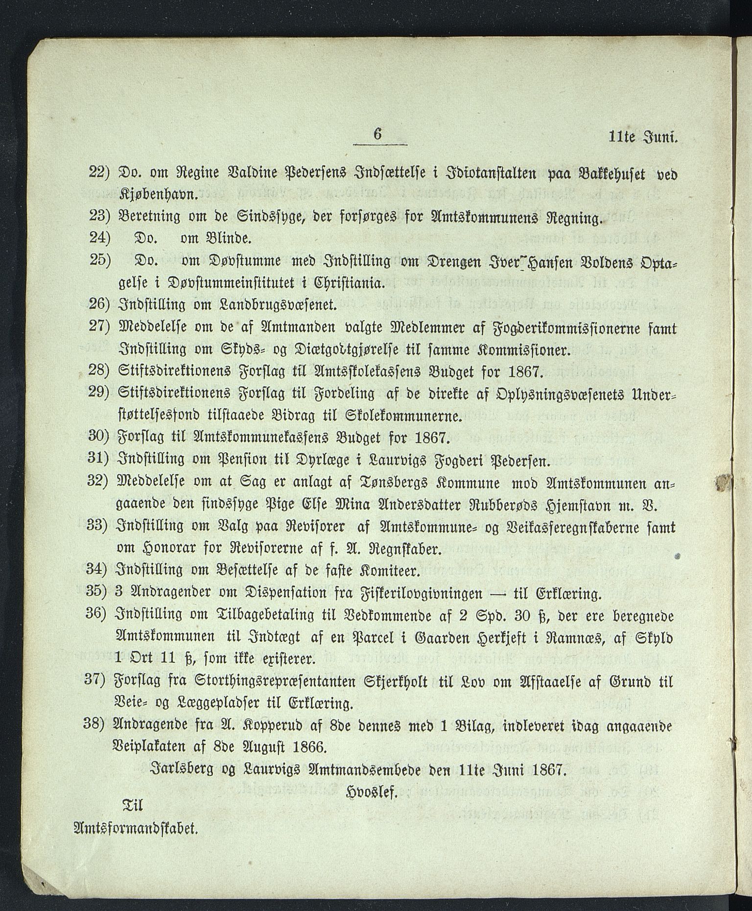 Vestfold fylkeskommune. Fylkestinget, VEMU/A-1315/A/Ab/Abb/L0013: Fylkestingsforhandlinger, 1867