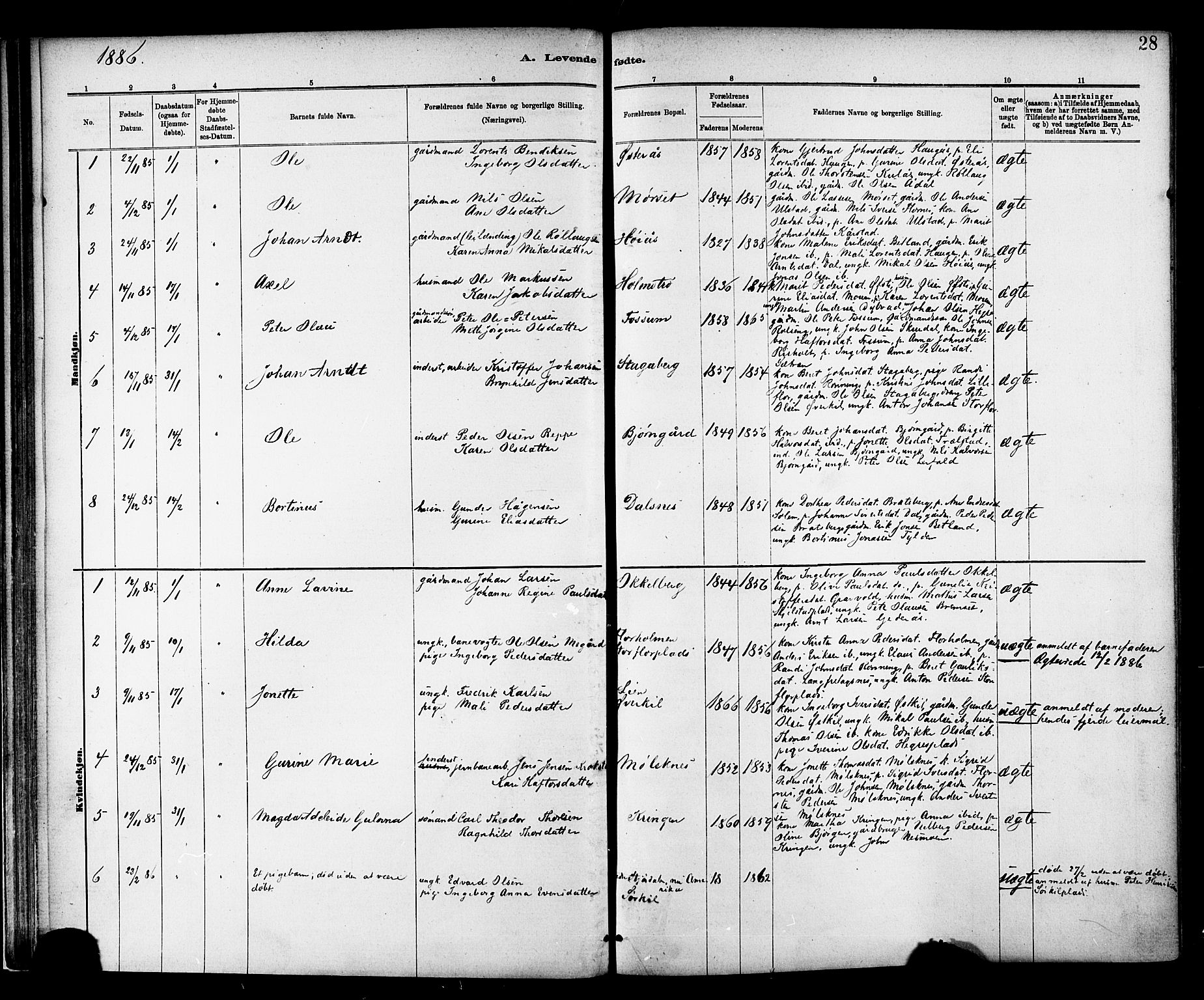 Ministerialprotokoller, klokkerbøker og fødselsregistre - Nord-Trøndelag, SAT/A-1458/703/L0030: Parish register (official) no. 703A03, 1880-1892, p. 28