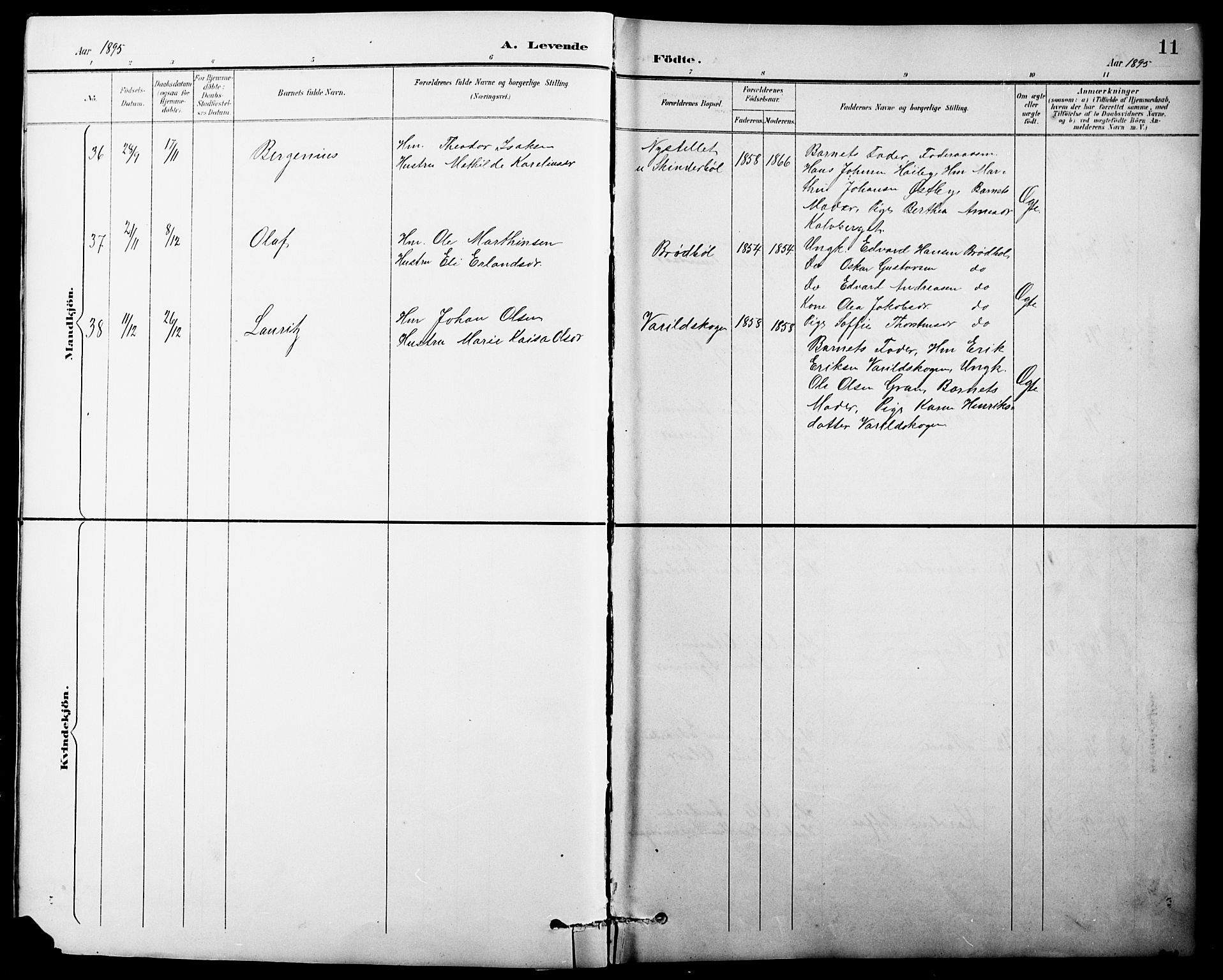 Vinger prestekontor, AV/SAH-PREST-024/H/Ha/Hab/L0004: Parish register (copy) no. 4, 1895-1920, p. 11