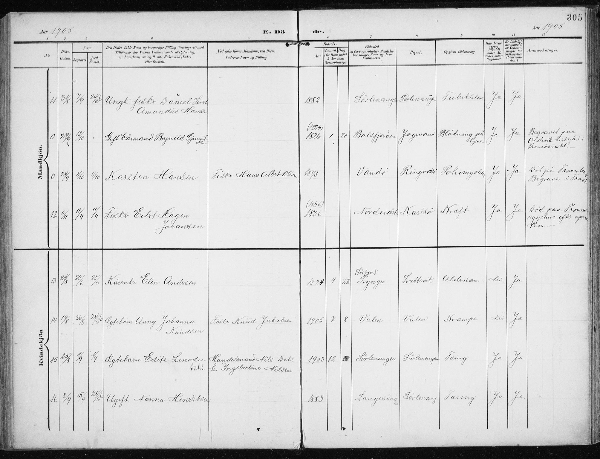 Karlsøy sokneprestembete, AV/SATØ-S-1299/H/Ha/Haa/L0014kirke: Parish register (official) no. 14, 1903-1917, p. 305