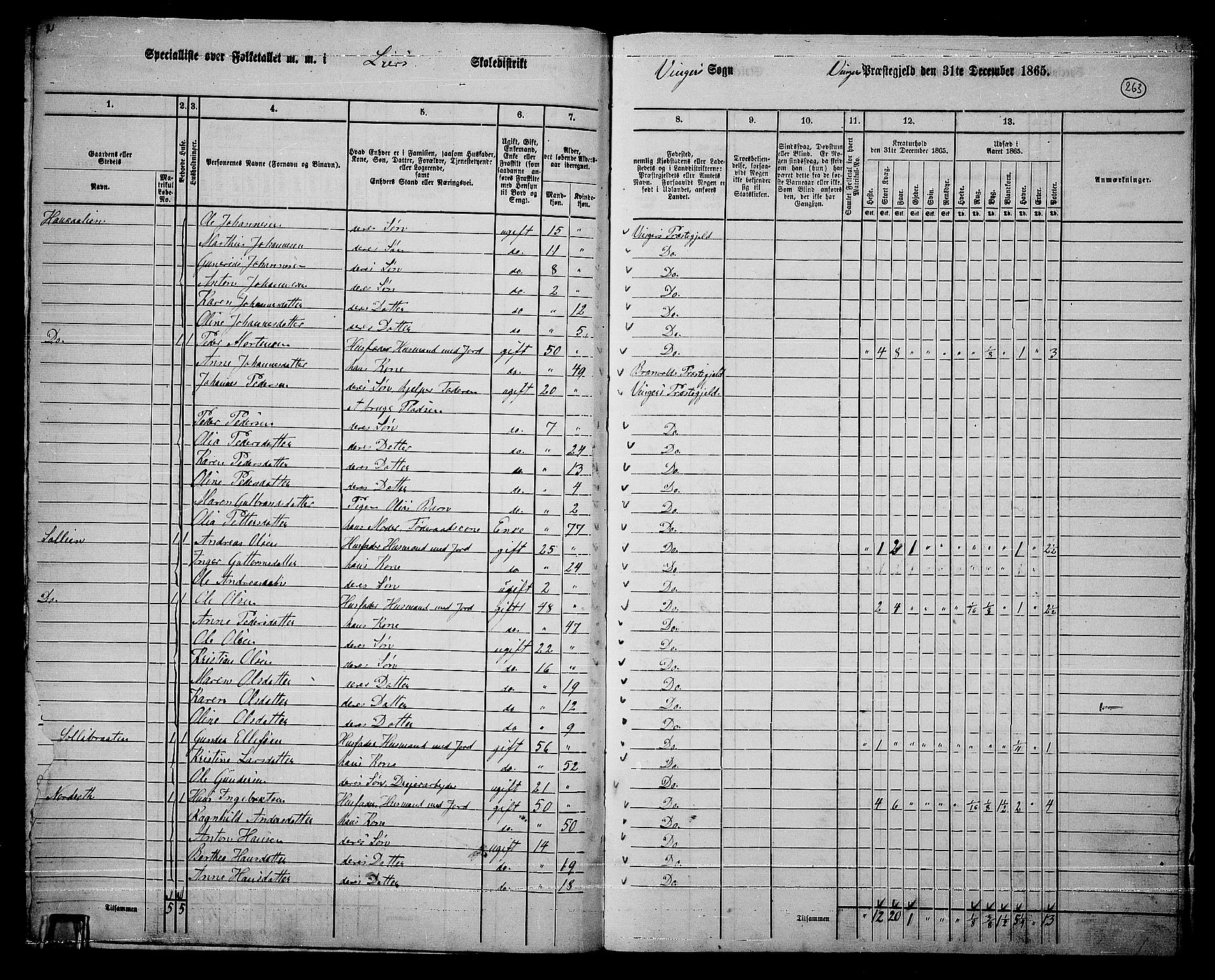 RA, 1865 census for Vinger/Vinger og Austmarka, 1865, p. 239