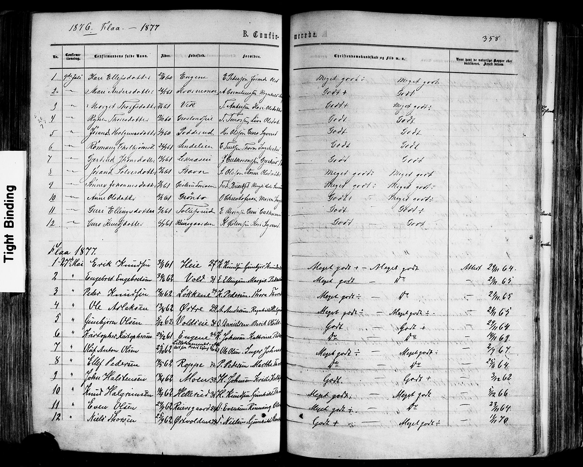 Nes kirkebøker, SAKO/A-236/F/Fa/L0010: Parish register (official) no. 10, 1864-1880, p. 358