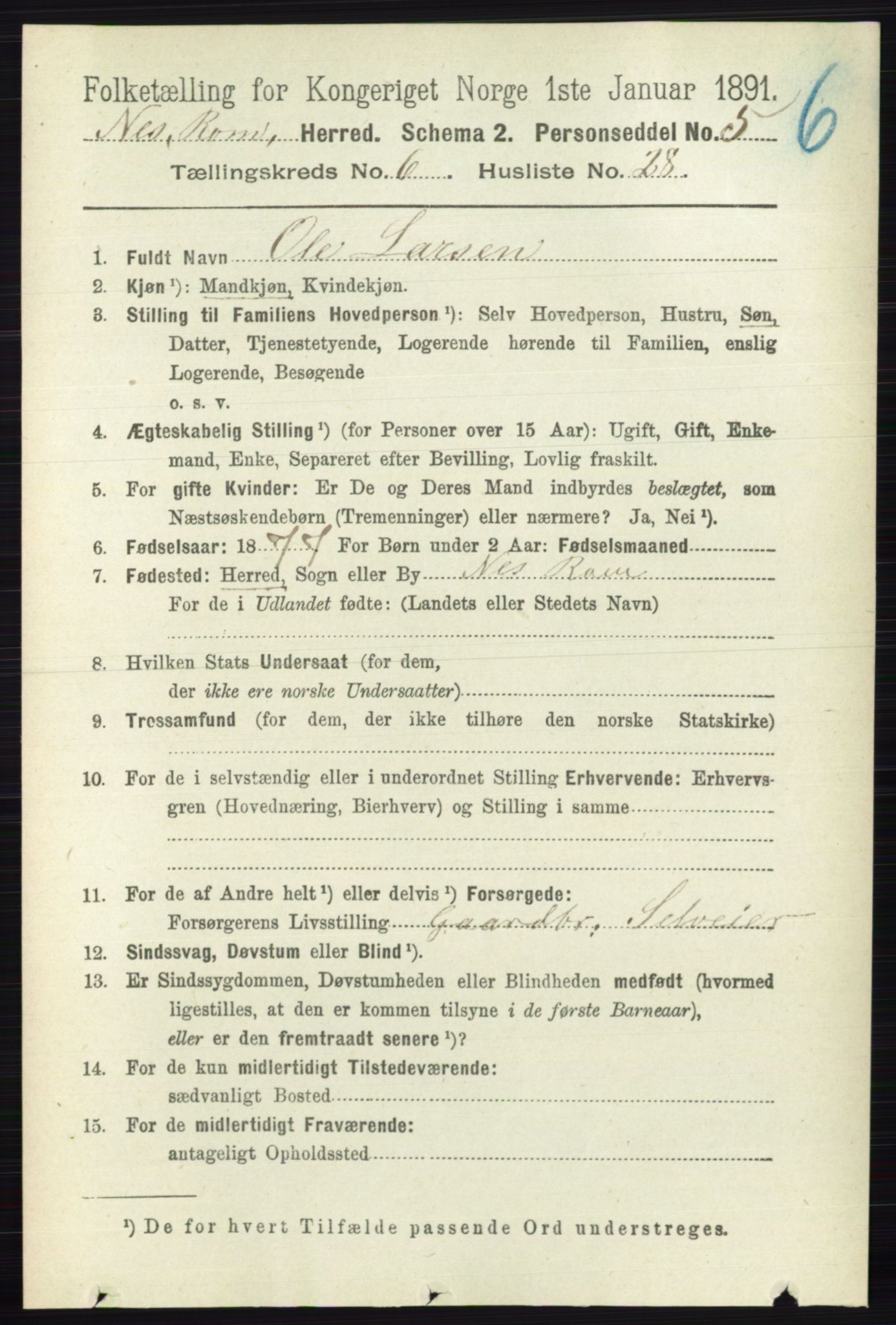 RA, 1891 census for 0236 Nes, 1891, p. 3553