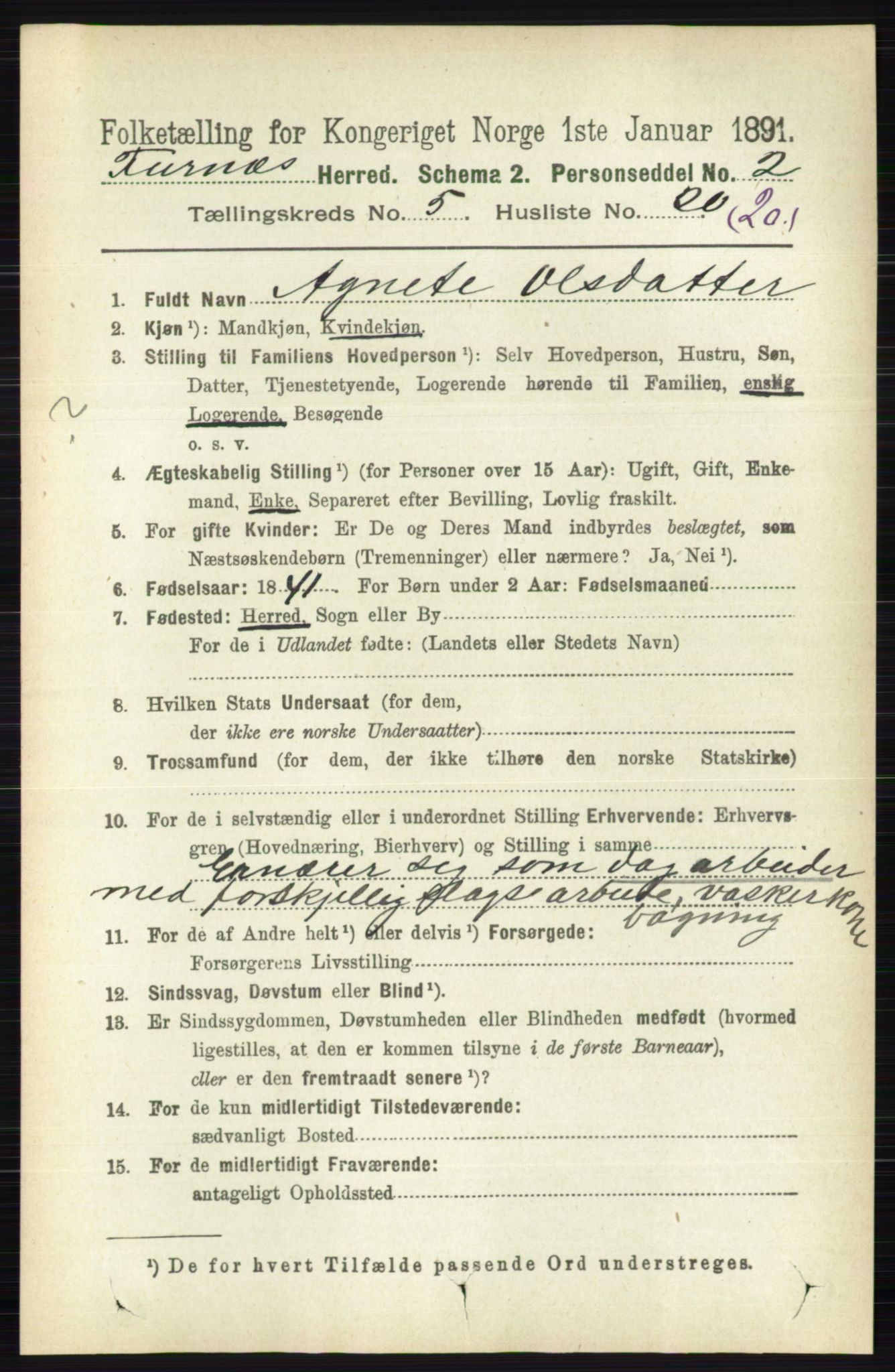 RA, Census 1891 for 0413 Furnes herred, 1891, p. 3300