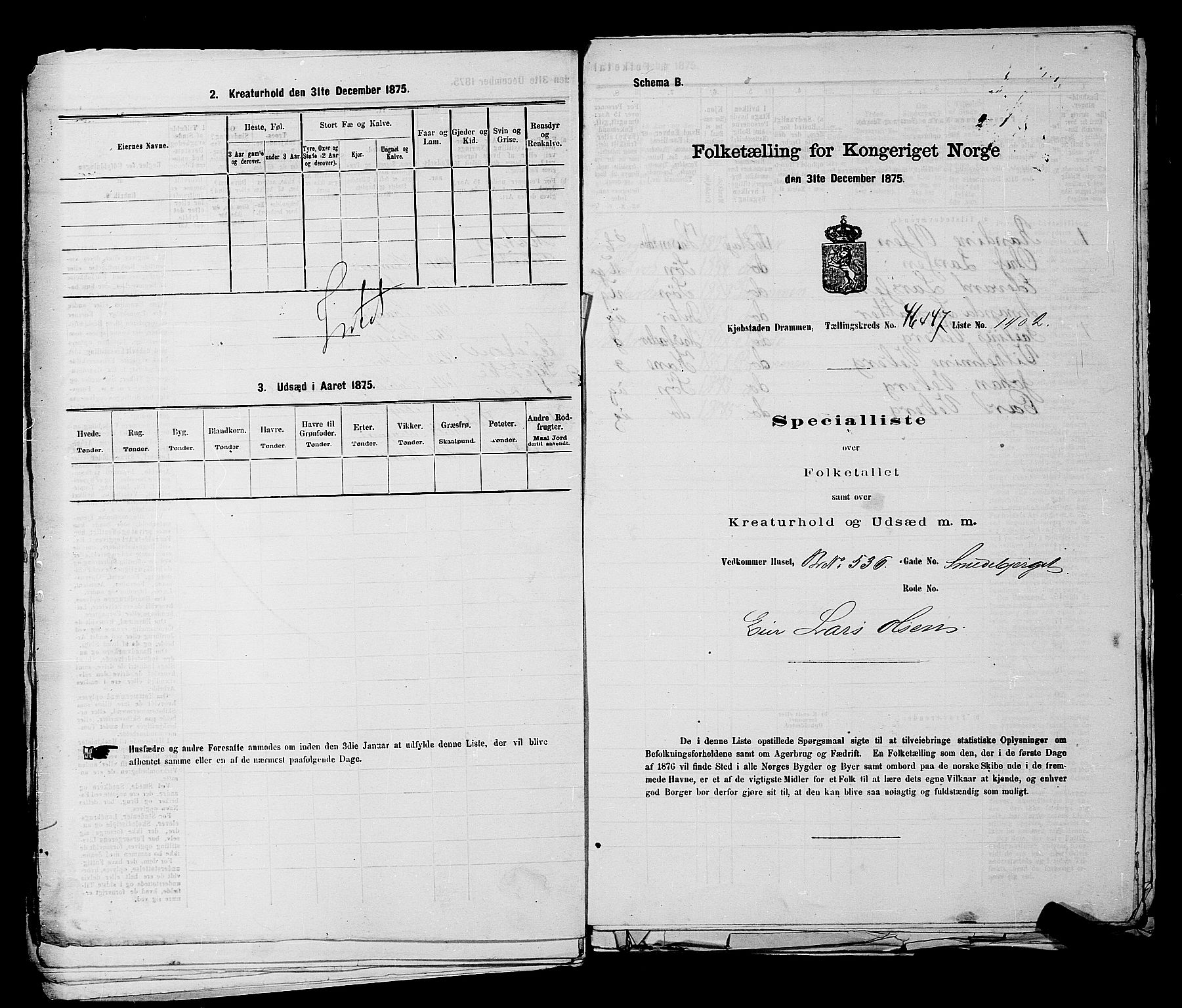 SAKO, 1875 census for 0602 Drammen, 1875, p. 3776