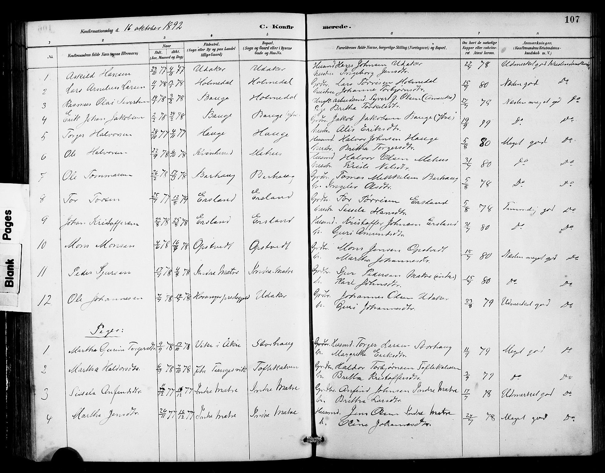 Husnes Sokneprestembete, SAB/A-75901/H/Hab: Parish register (copy) no. B 2, 1884-1914, p. 107