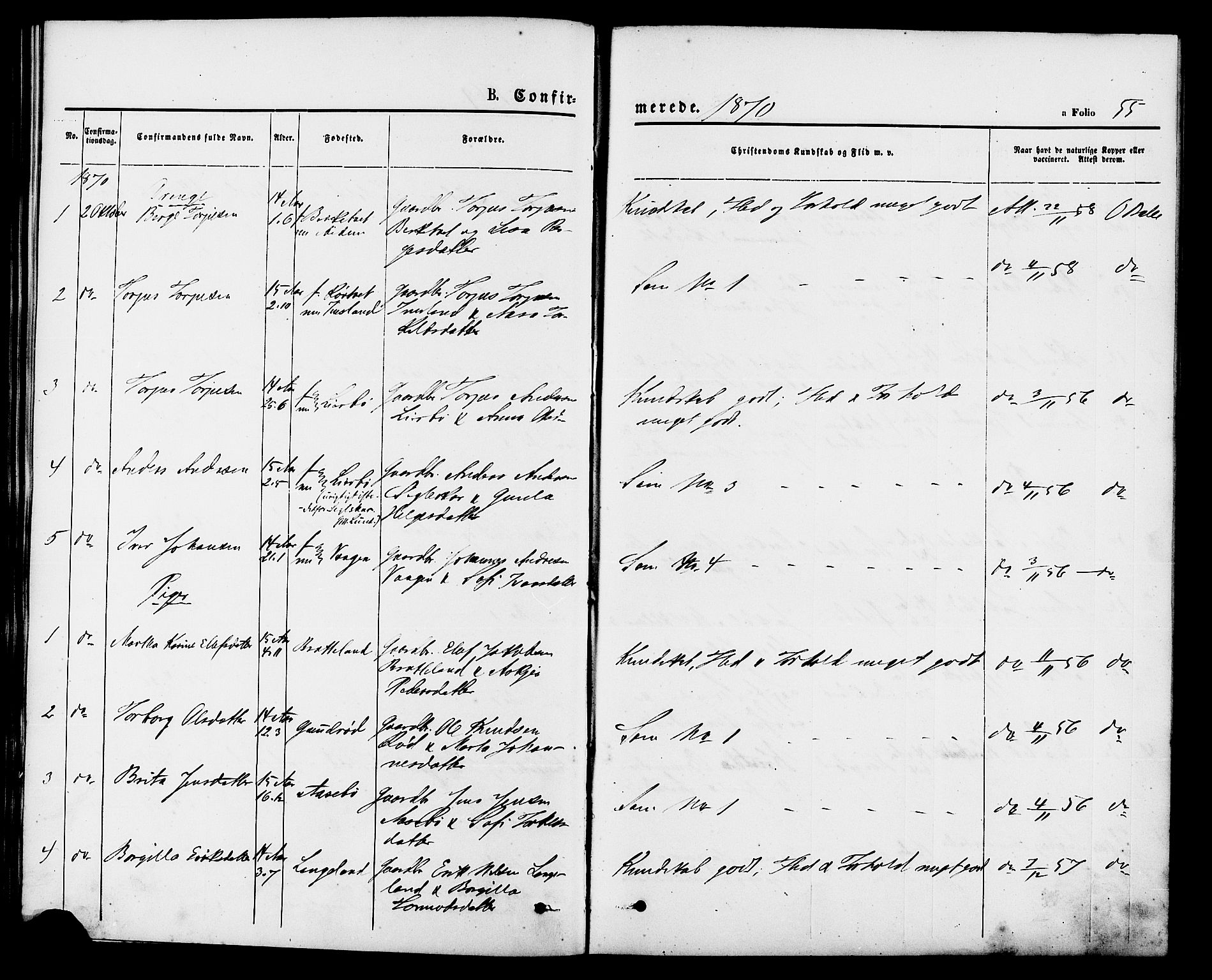 Vikedal sokneprestkontor, AV/SAST-A-101840/01/IV: Parish register (official) no. A 9, 1868-1885, p. 55