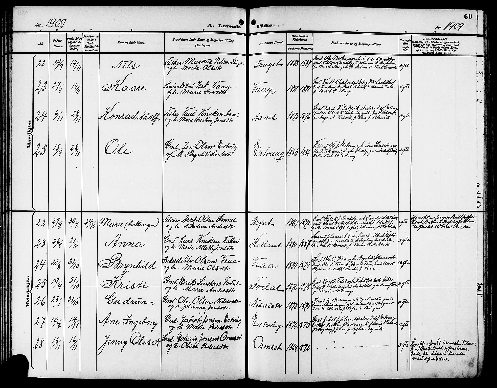 Ministerialprotokoller, klokkerbøker og fødselsregistre - Møre og Romsdal, AV/SAT-A-1454/578/L0910: Parish register (copy) no. 578C03, 1900-1921, p. 60