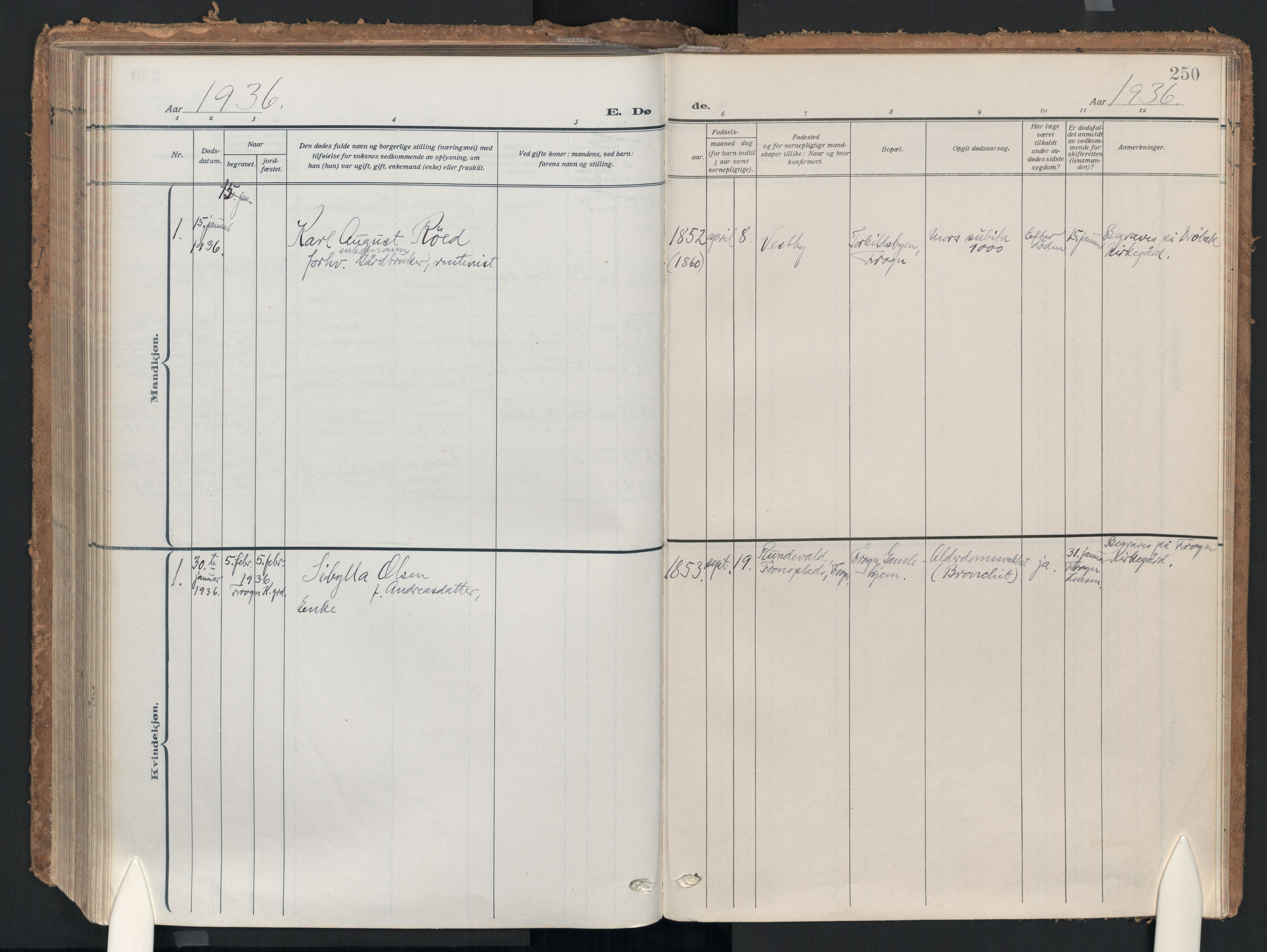 Drøbak prestekontor Kirkebøker, AV/SAO-A-10142a/F/Fc/L0004: Parish register (official) no. III 4, 1919-1935, p. 250