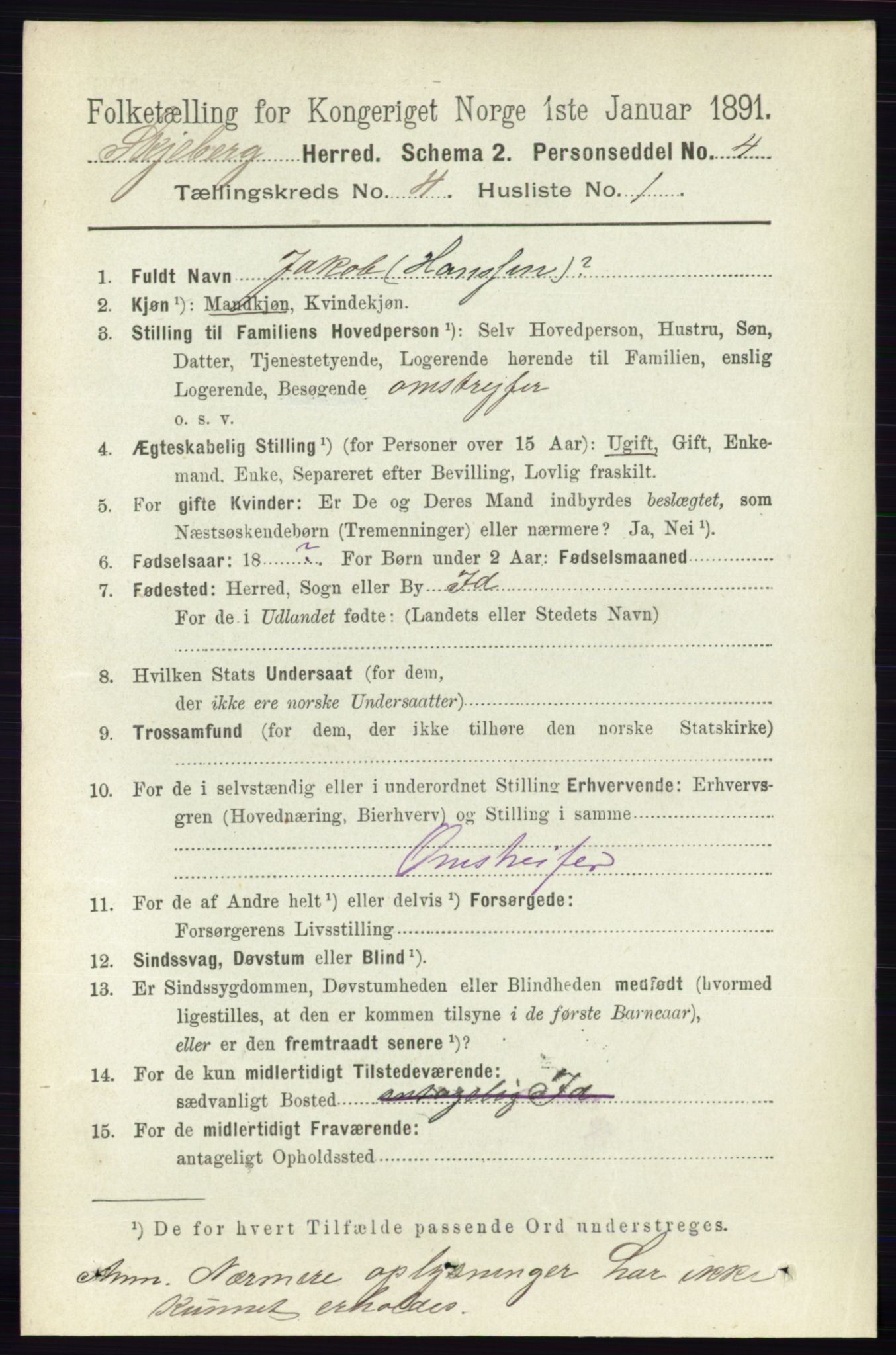 RA, 1891 census for 0115 Skjeberg, 1891, p. 1872