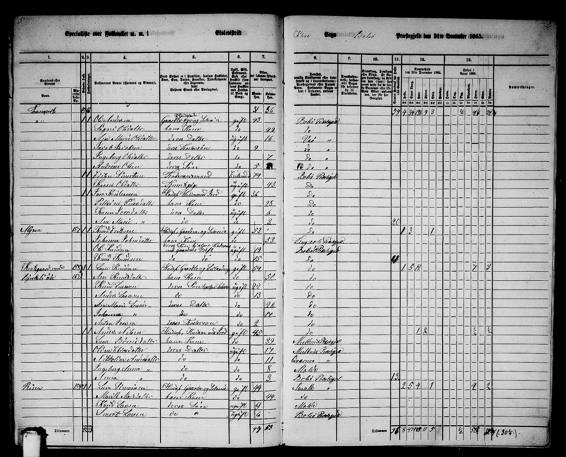RA, 1865 census for Bolsøy, 1865, p. 133