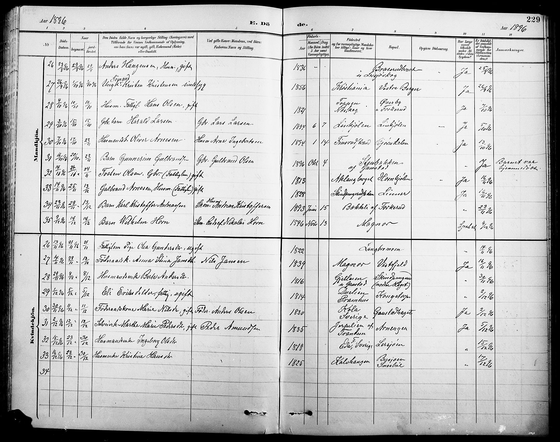 Eidskog prestekontor, AV/SAH-PREST-026/H/Ha/Hab/L0001: Parish register (copy) no. 1, 1895-1917, p. 229