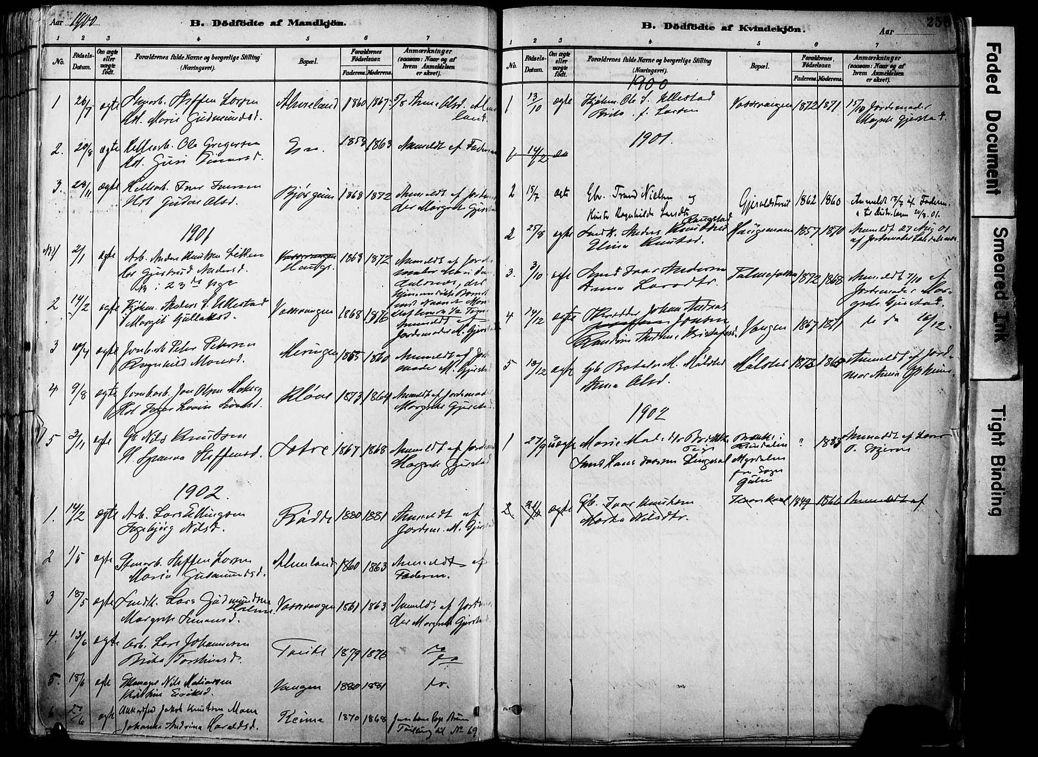 Voss sokneprestembete, SAB/A-79001/H/Haa: Parish register (official) no. A 21, 1887-1903, p. 258